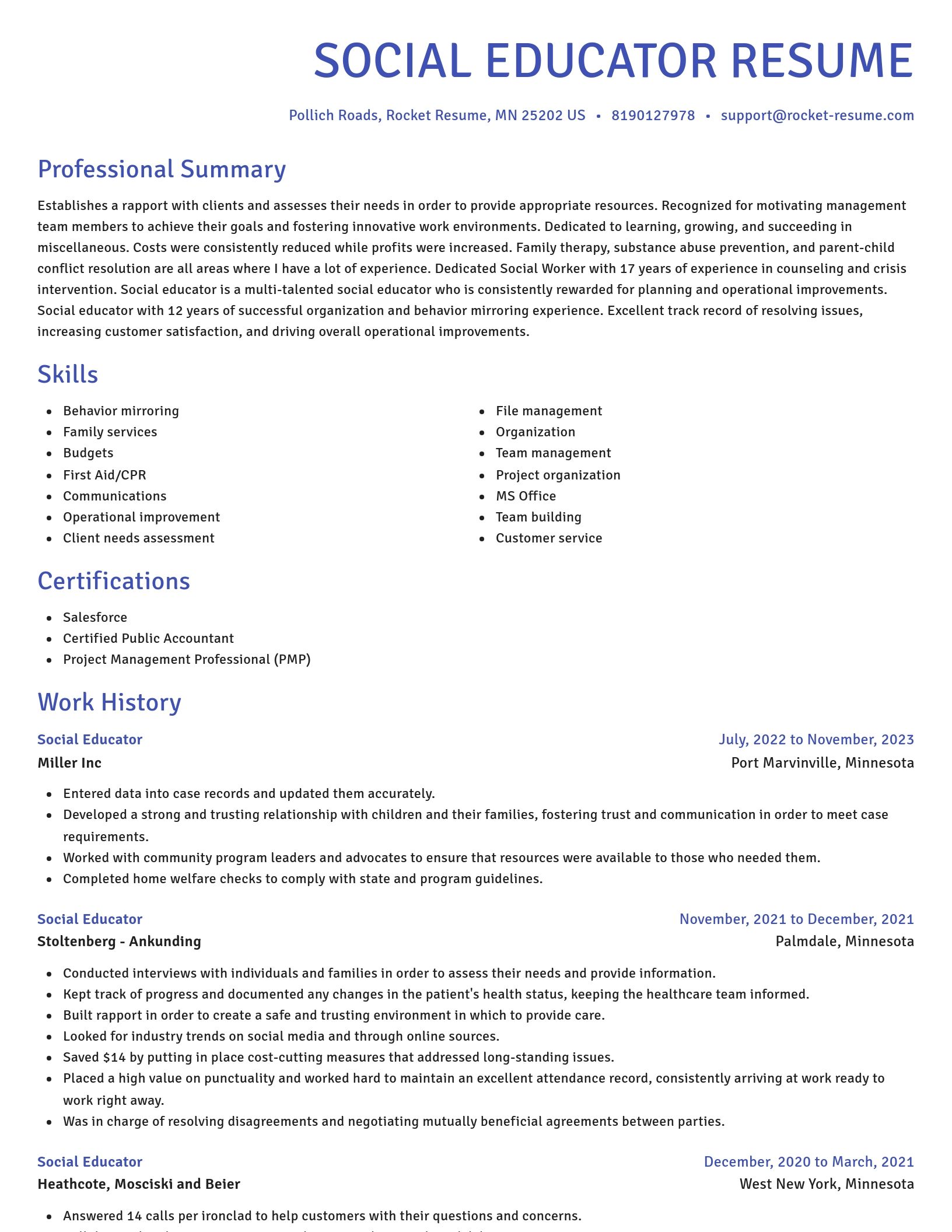 Novel resume template