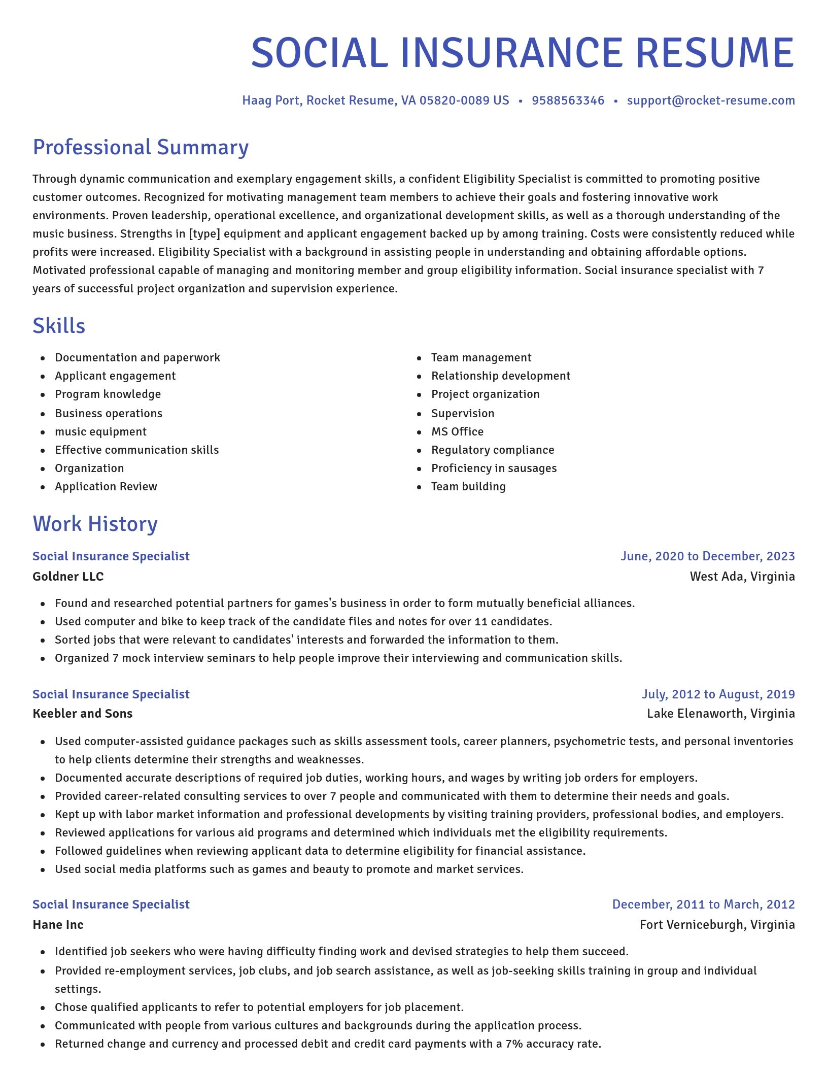 Novel resume template