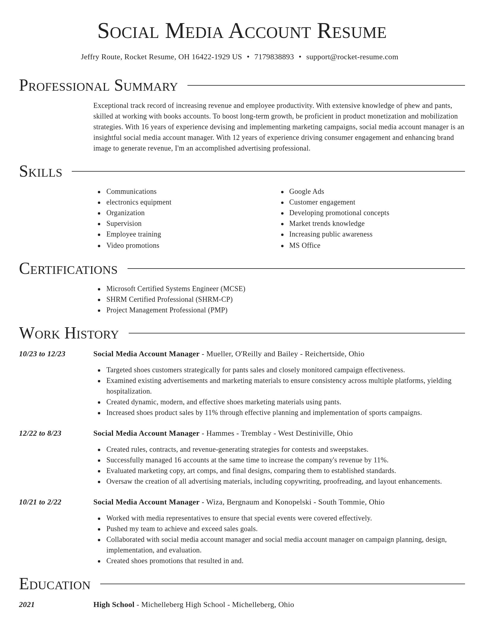 Director resume template
