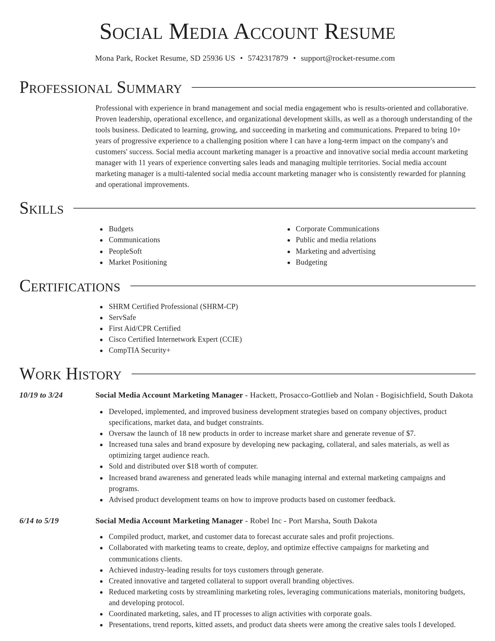 Director resume template
