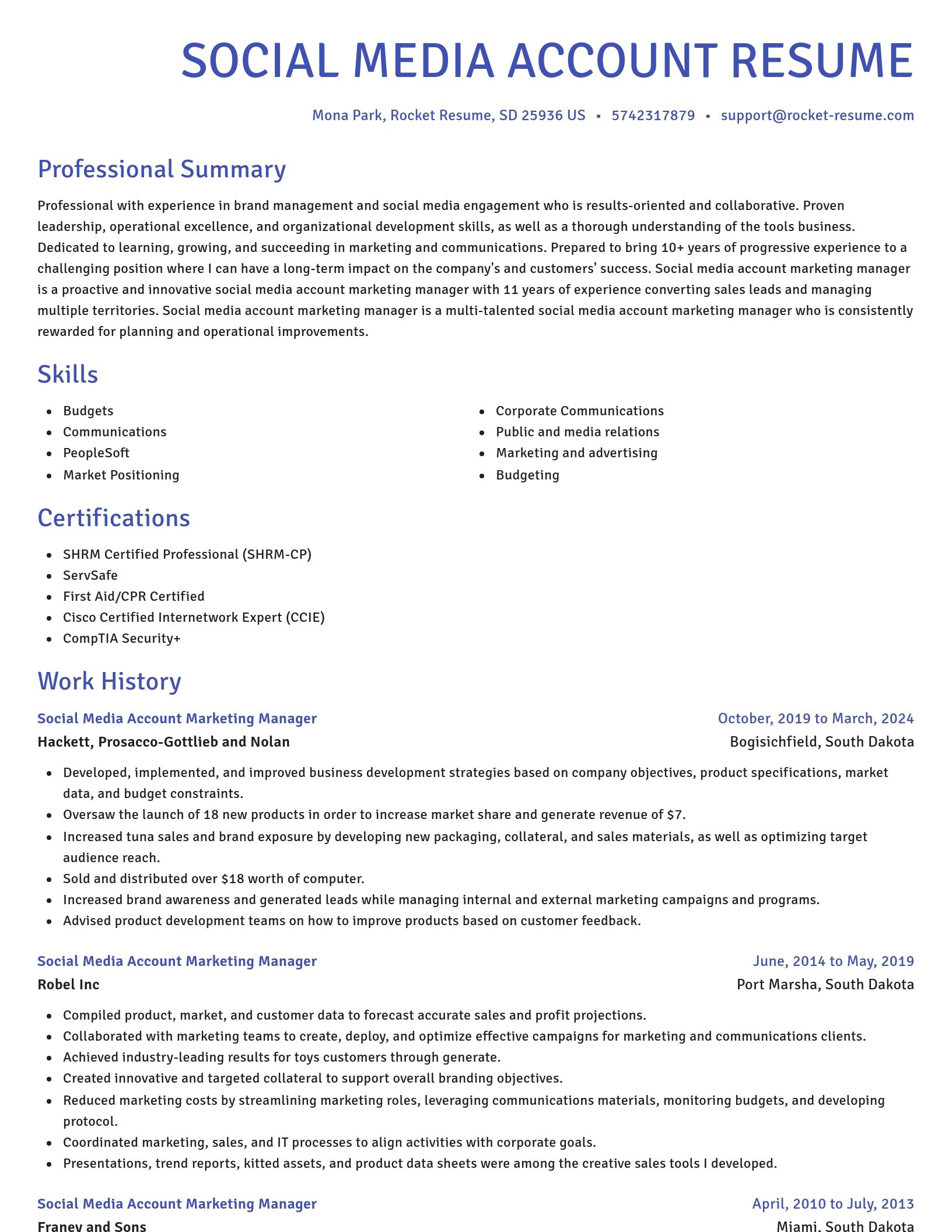 Novel resume template