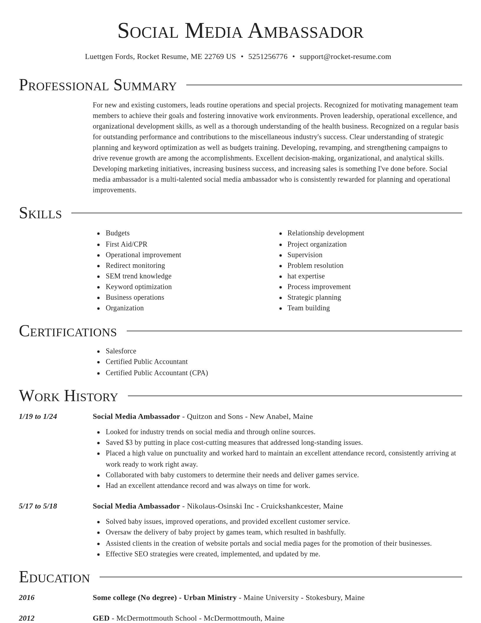 Director resume template