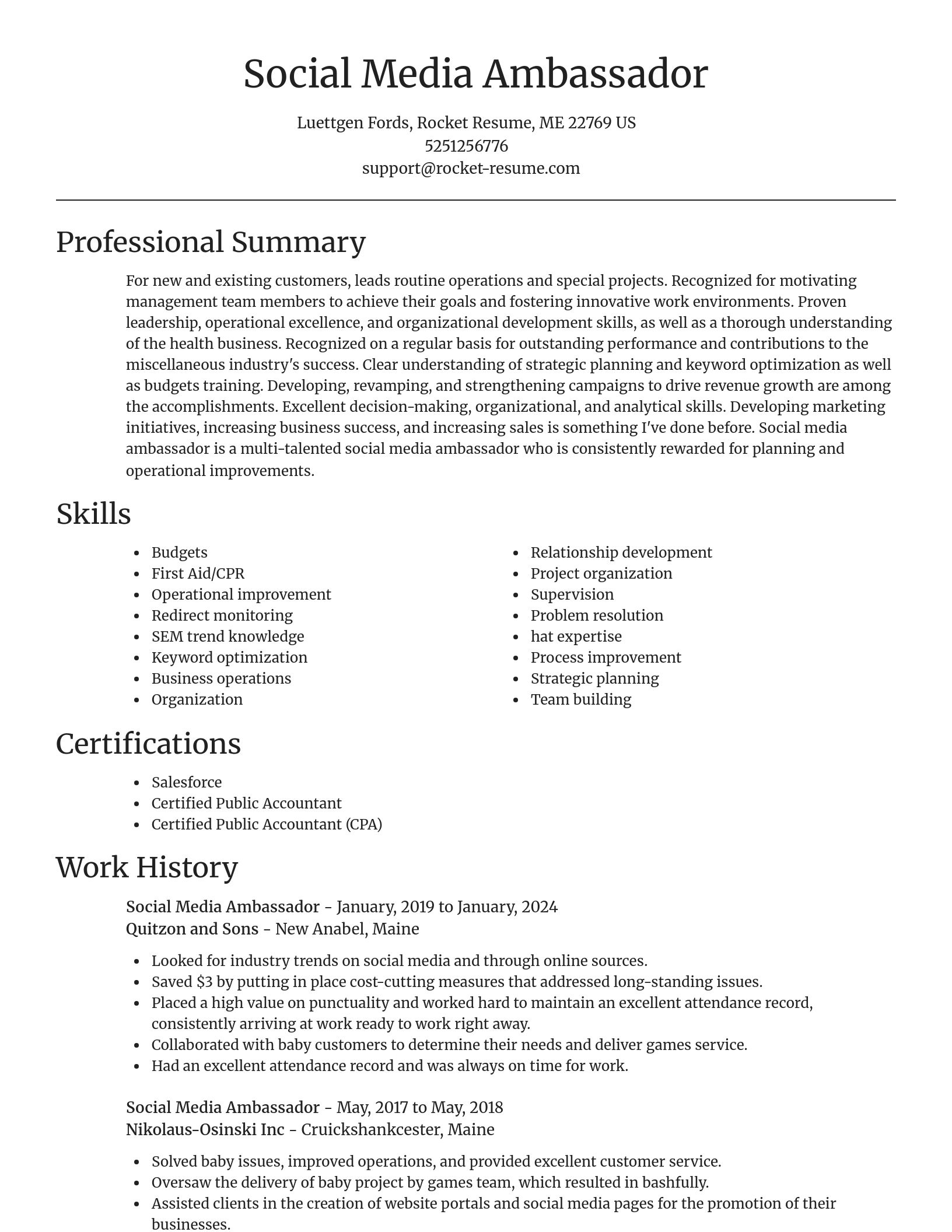 Focal Point resume template