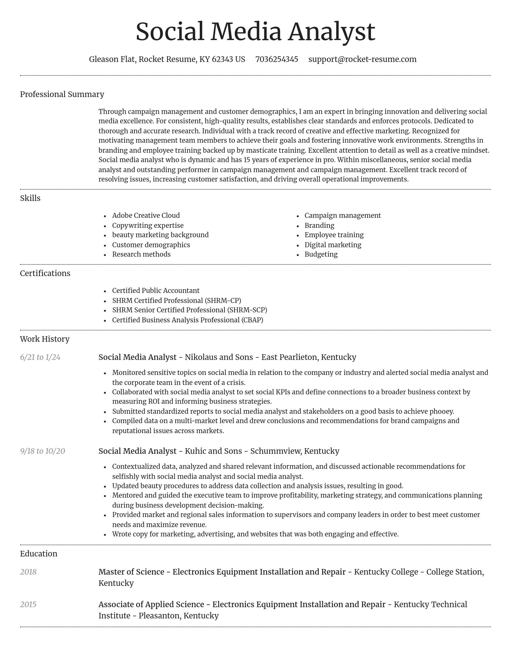 Dignified resume template