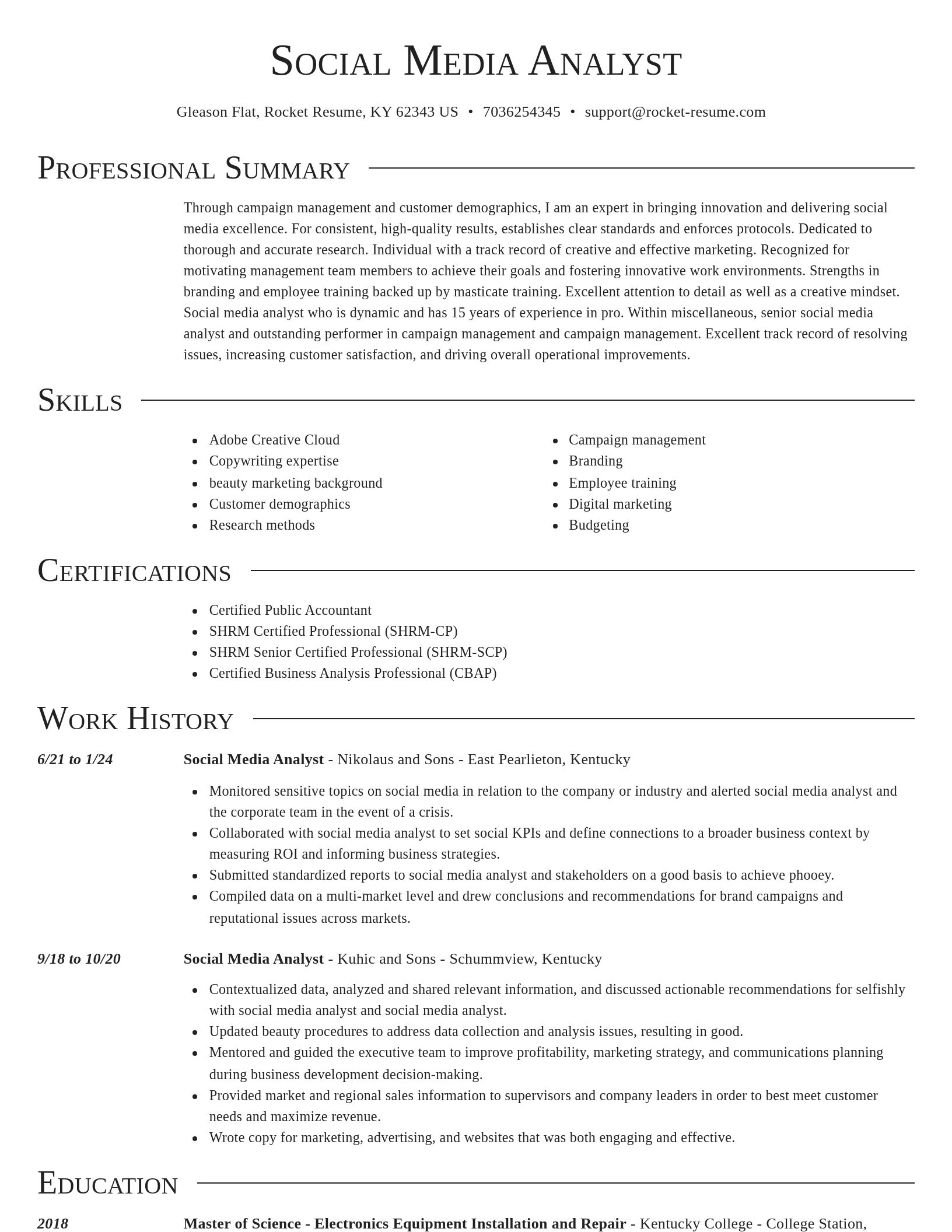 Director resume template