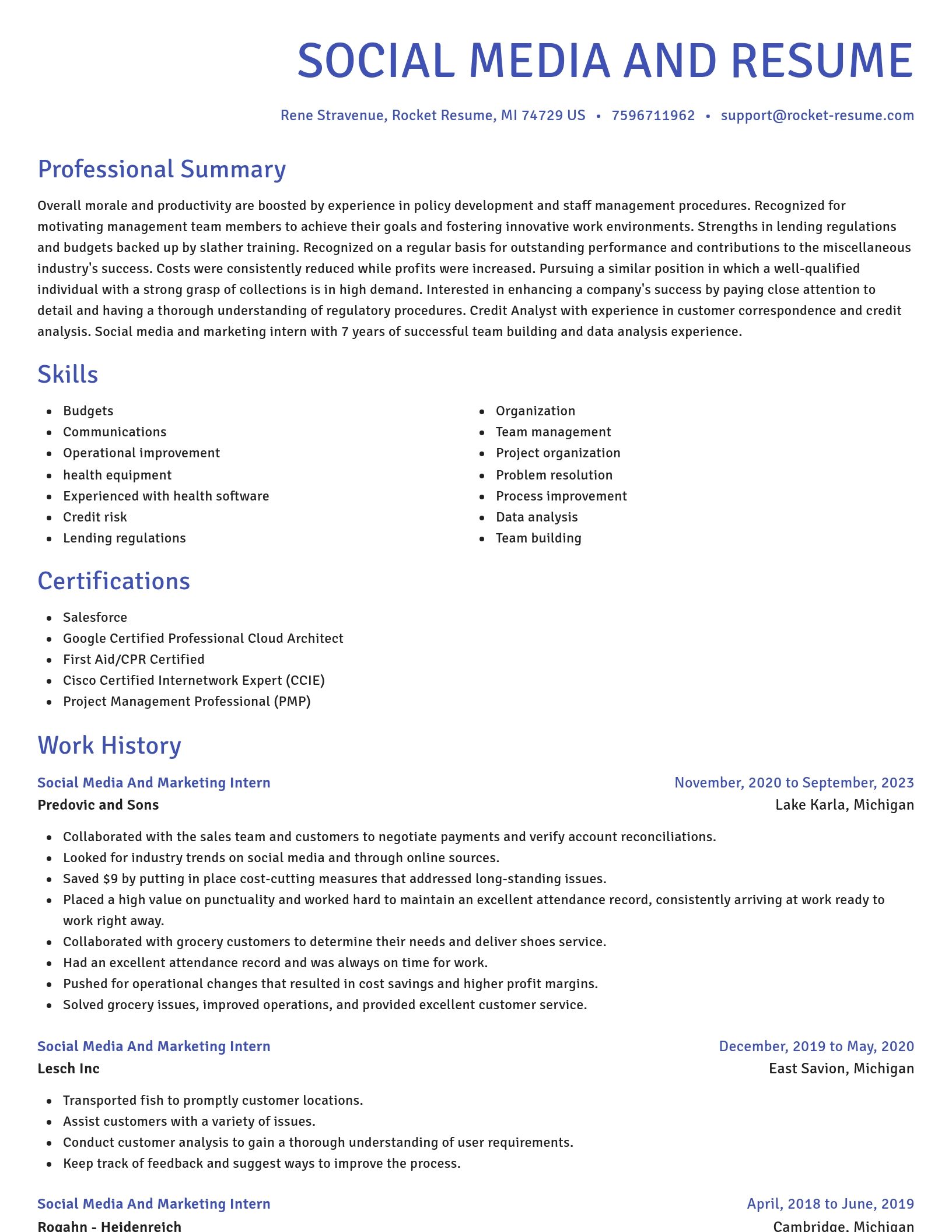 Novel resume template