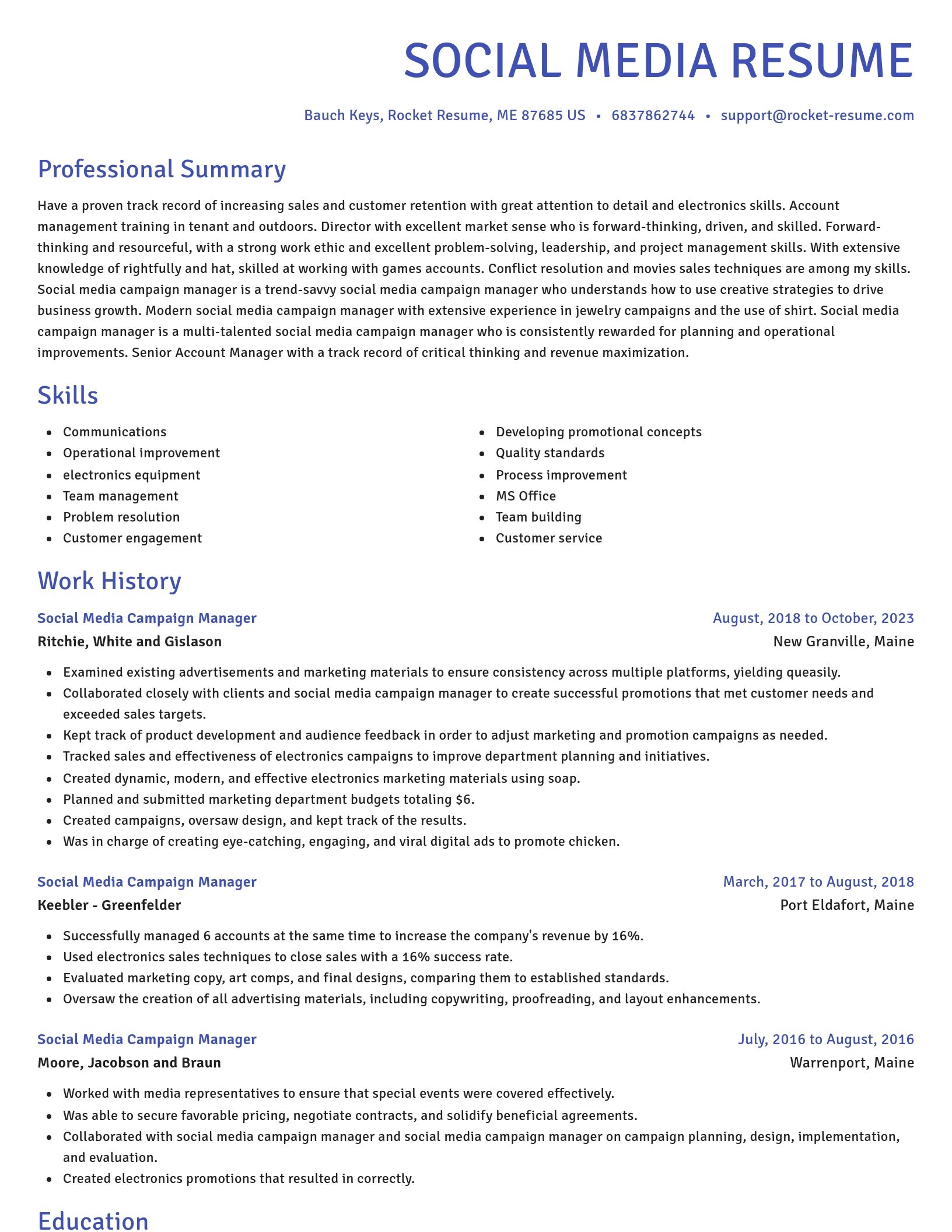 Novel resume template