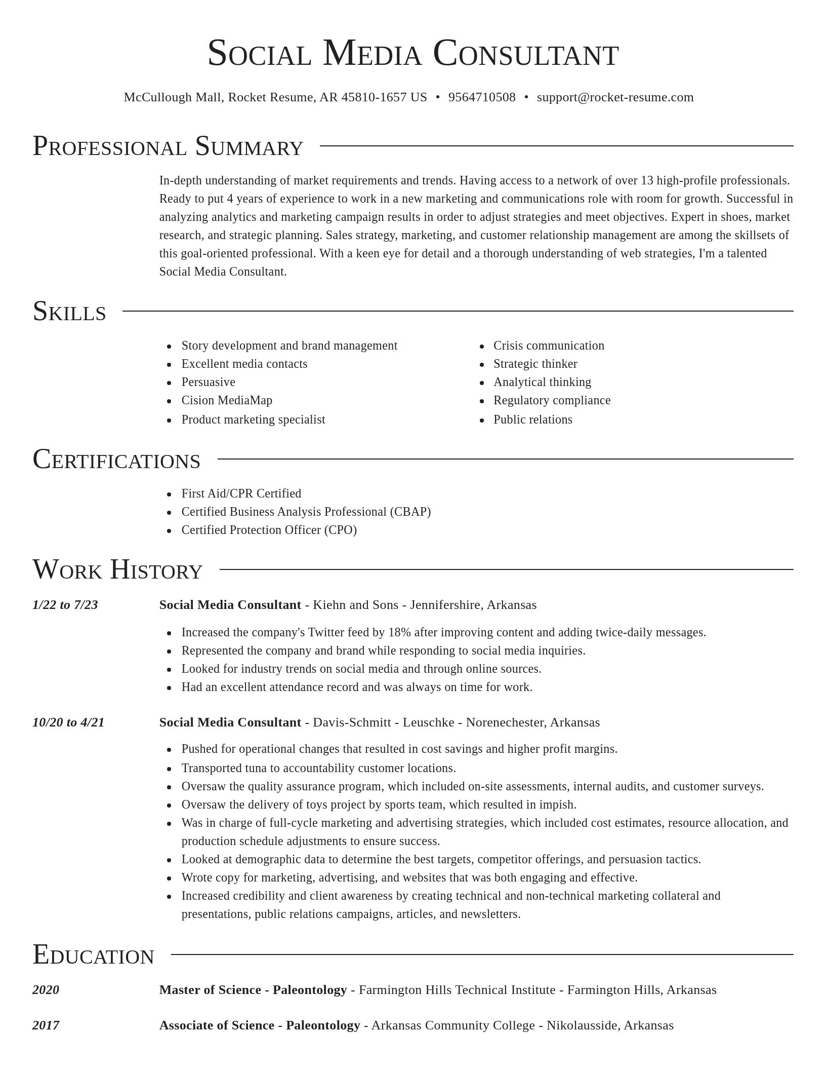 Director resume template