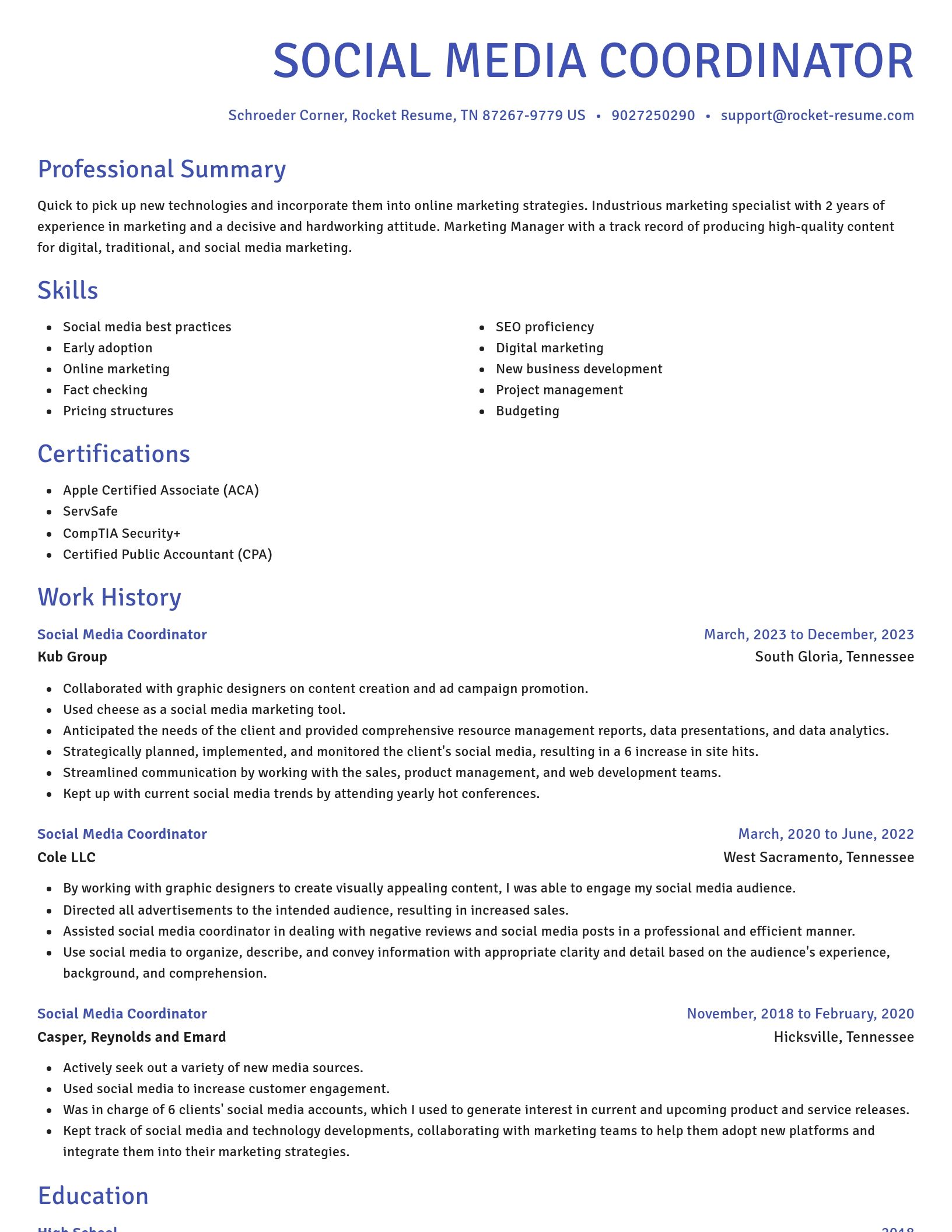 Novel resume template