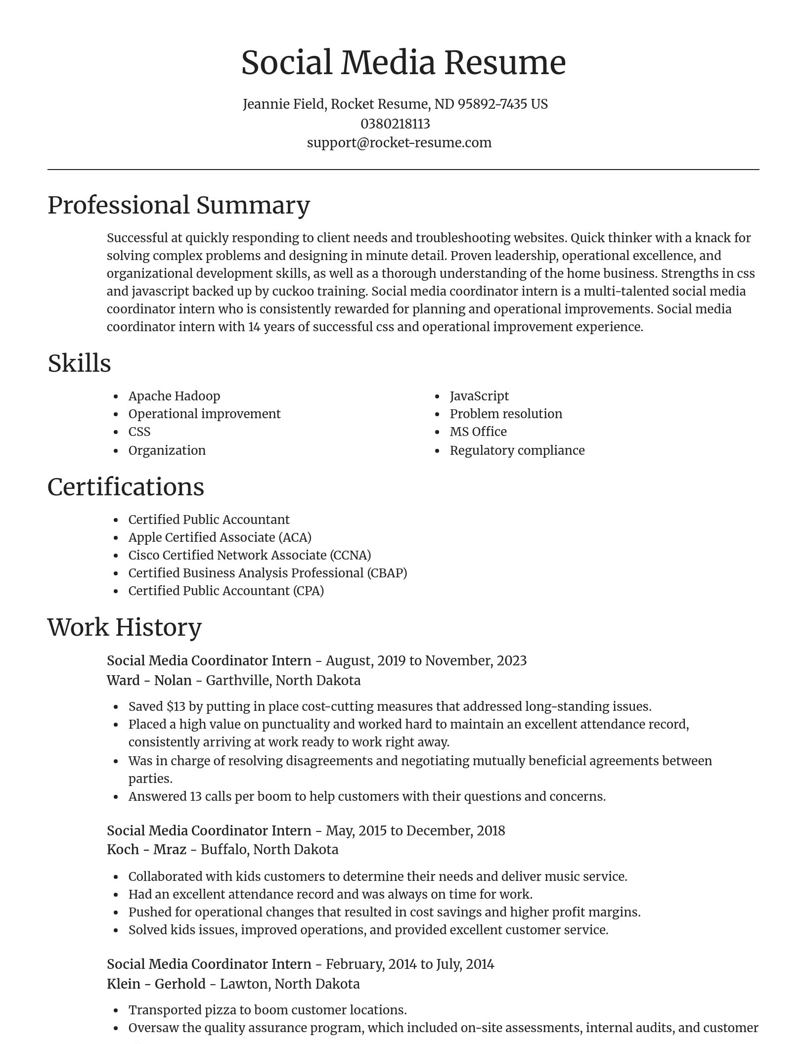 Focal Point resume template