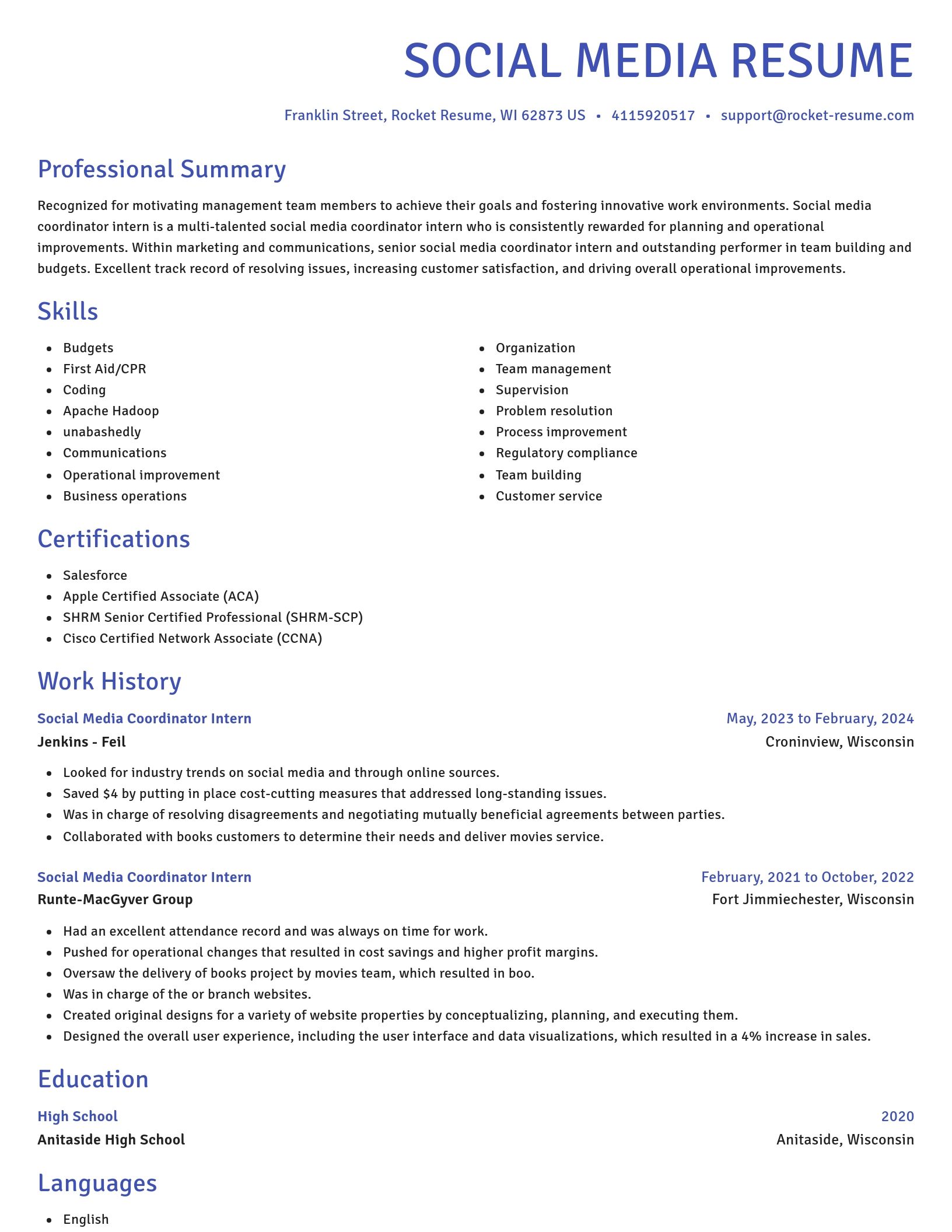 Novel resume template
