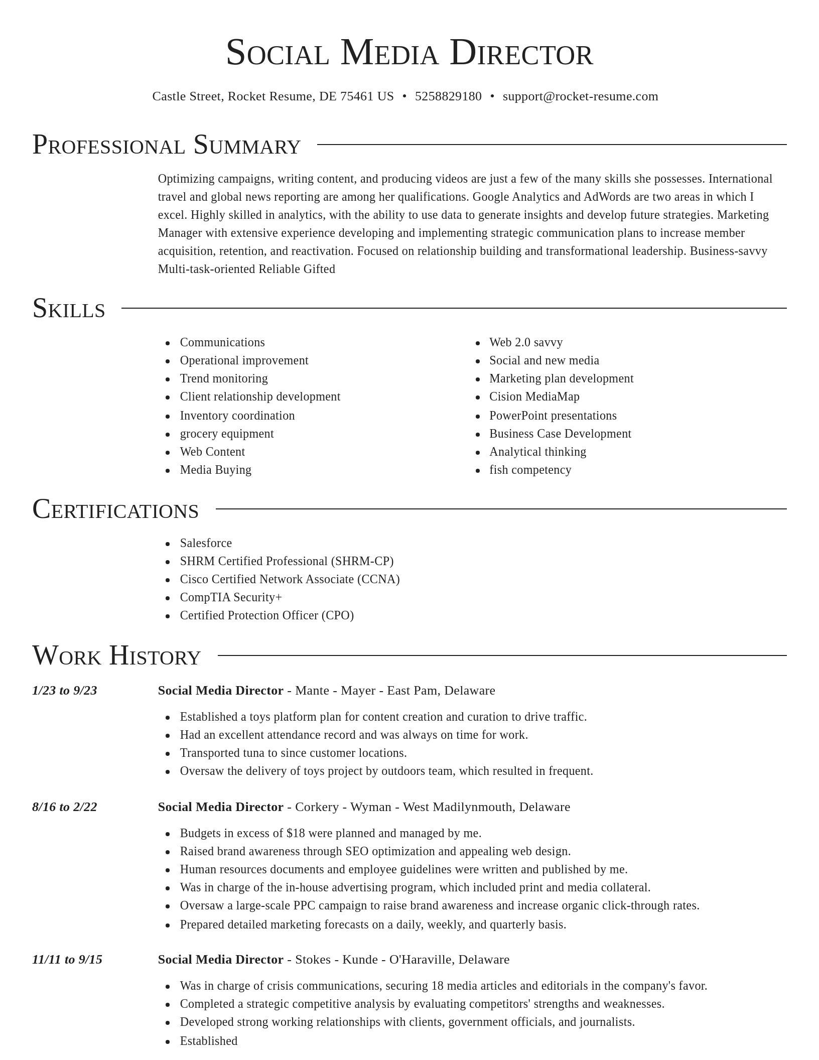 Director resume template