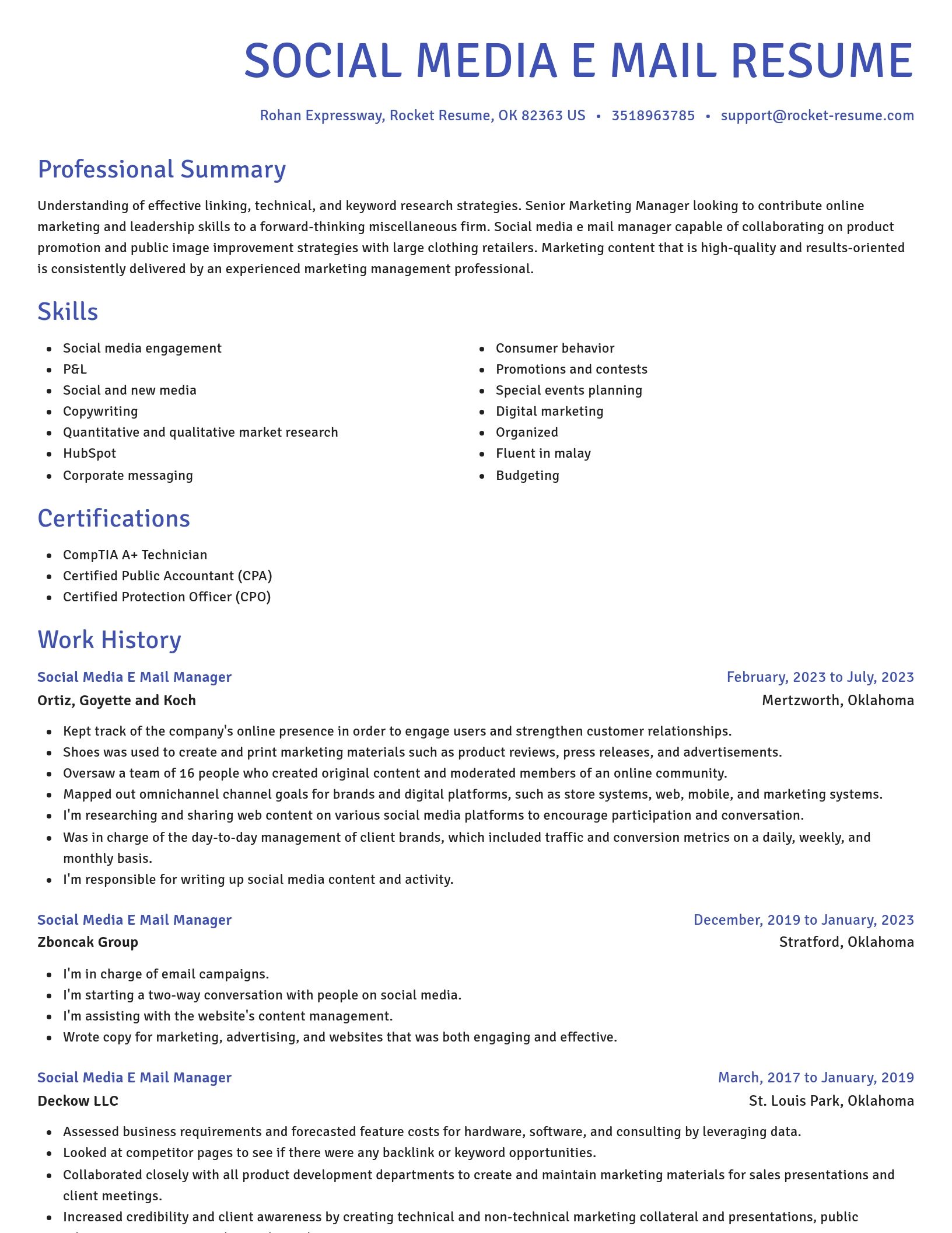 Novel resume template