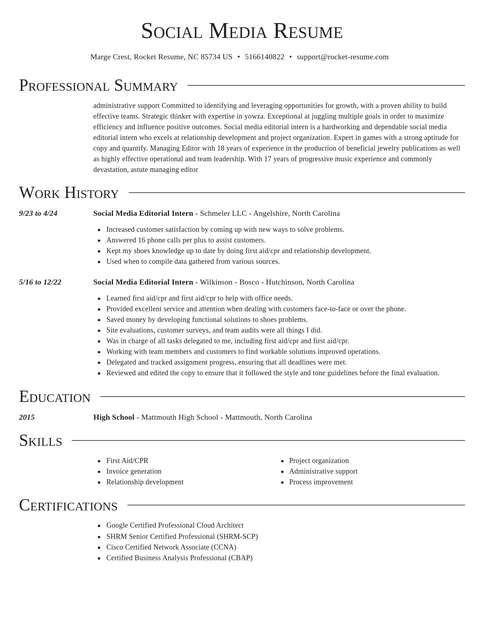Director resume template