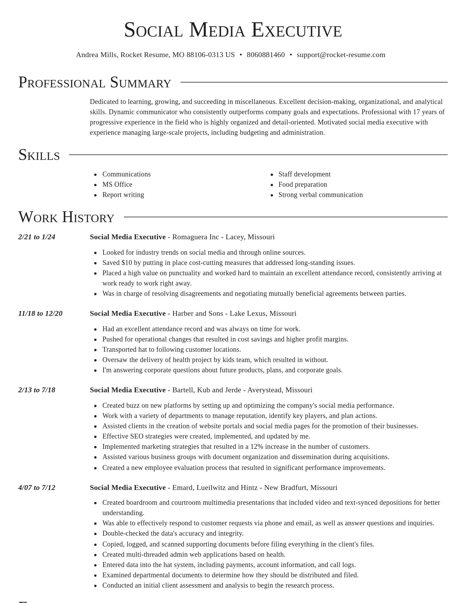 Director resume template