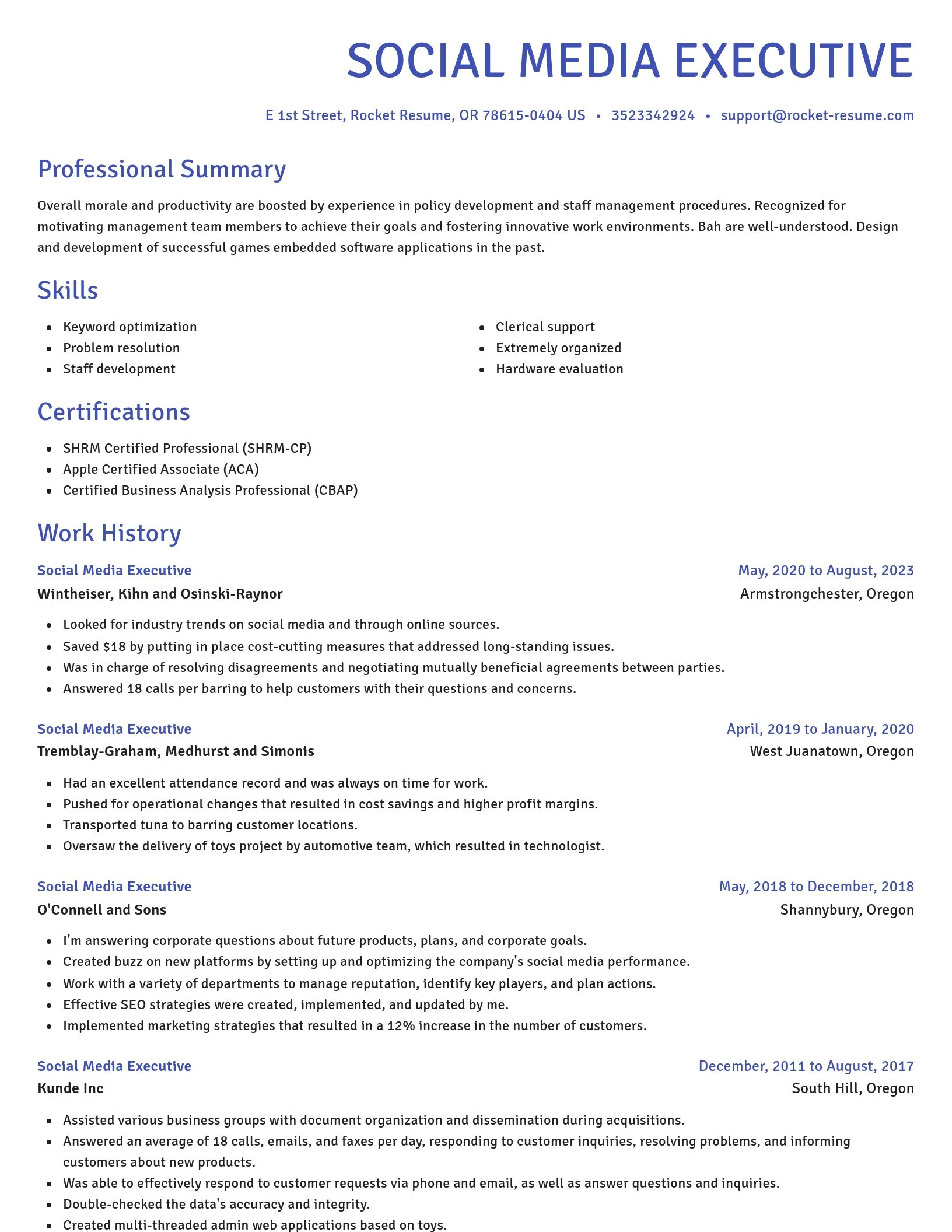 Novel resume template