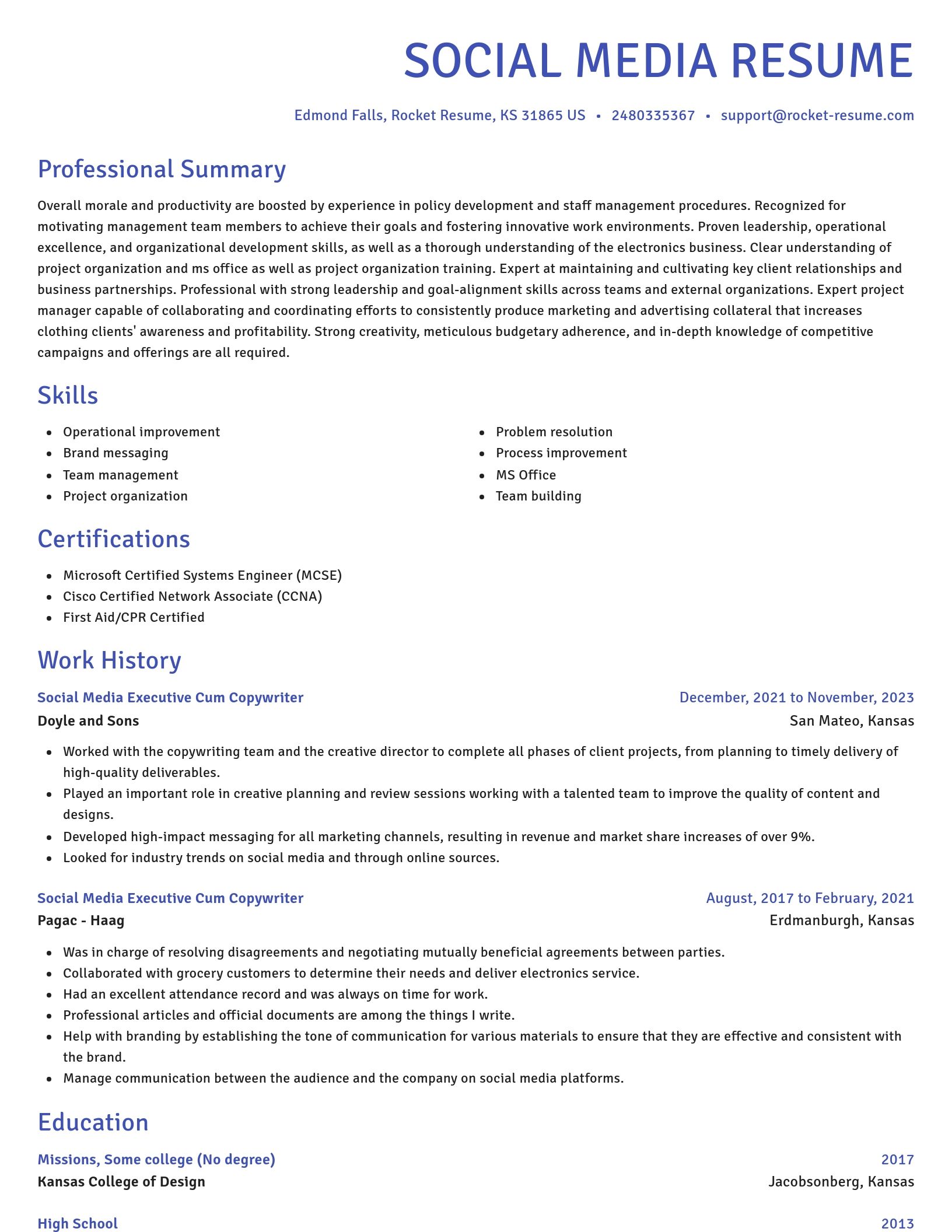 Novel resume template