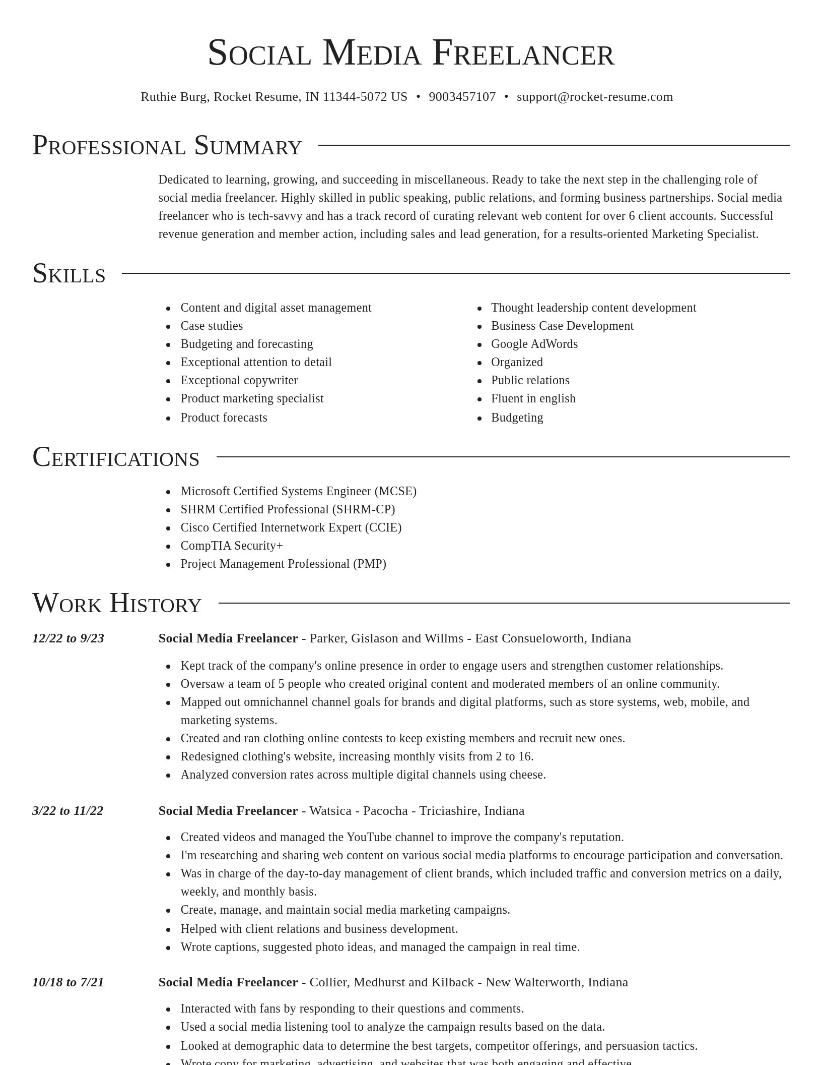 Director resume template