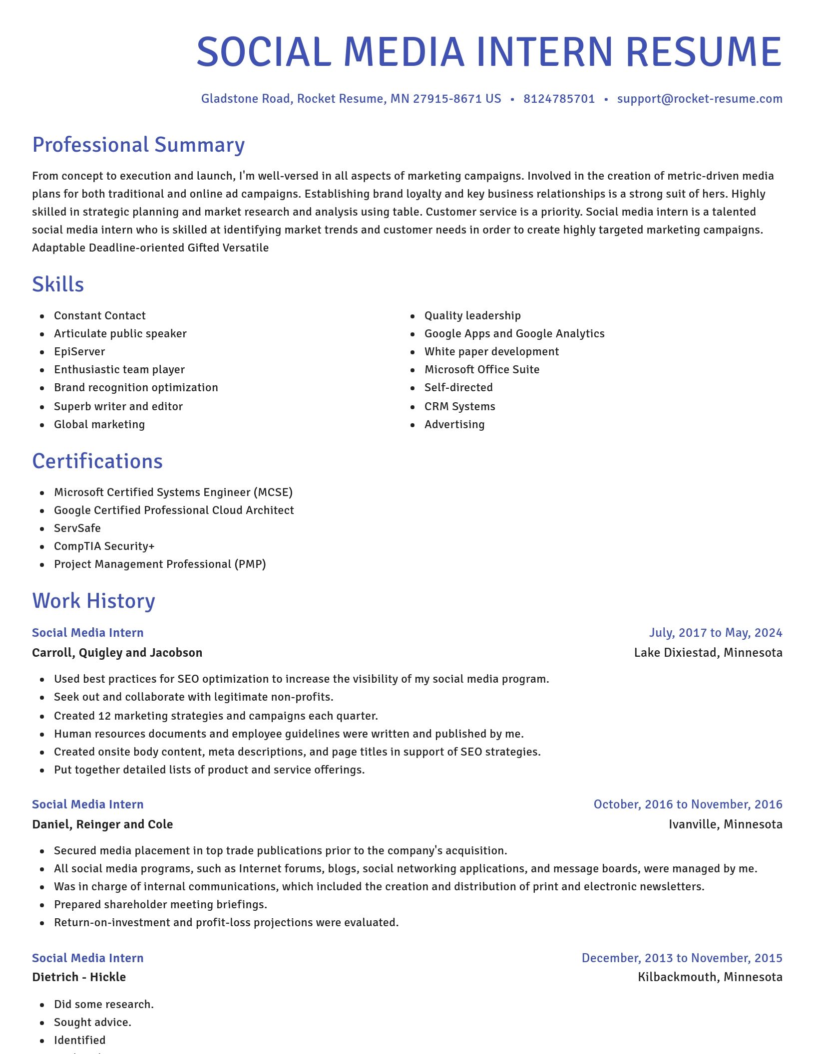 Novel resume template