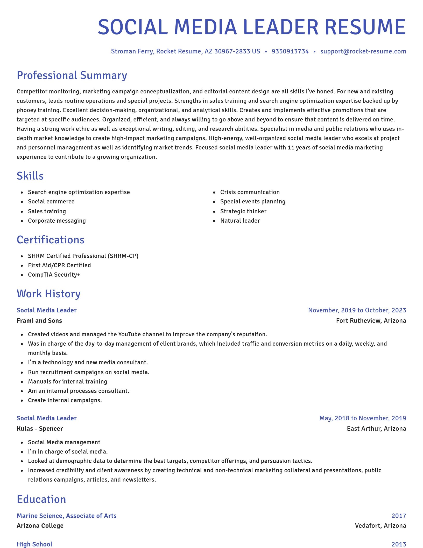 Novel resume template