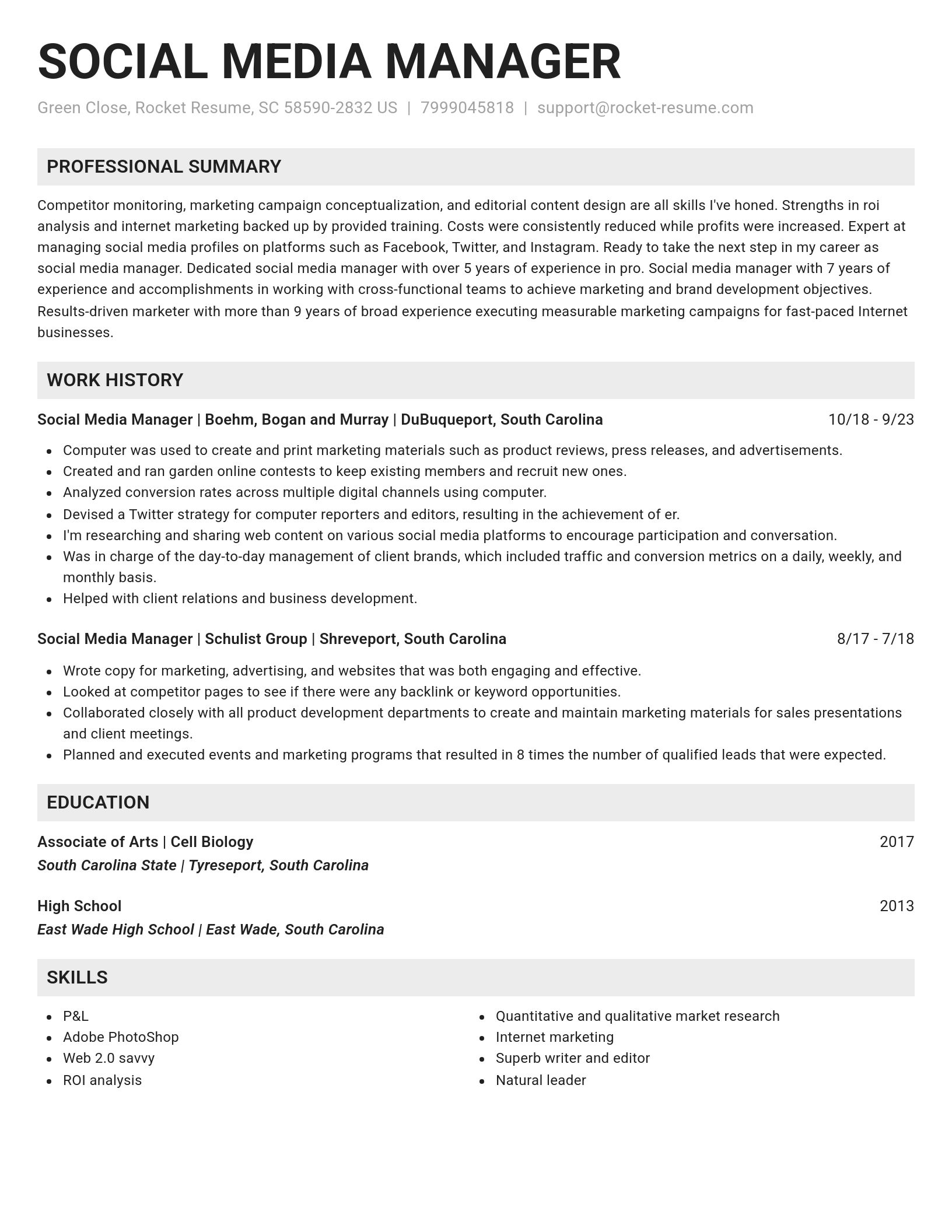 Genius resume template