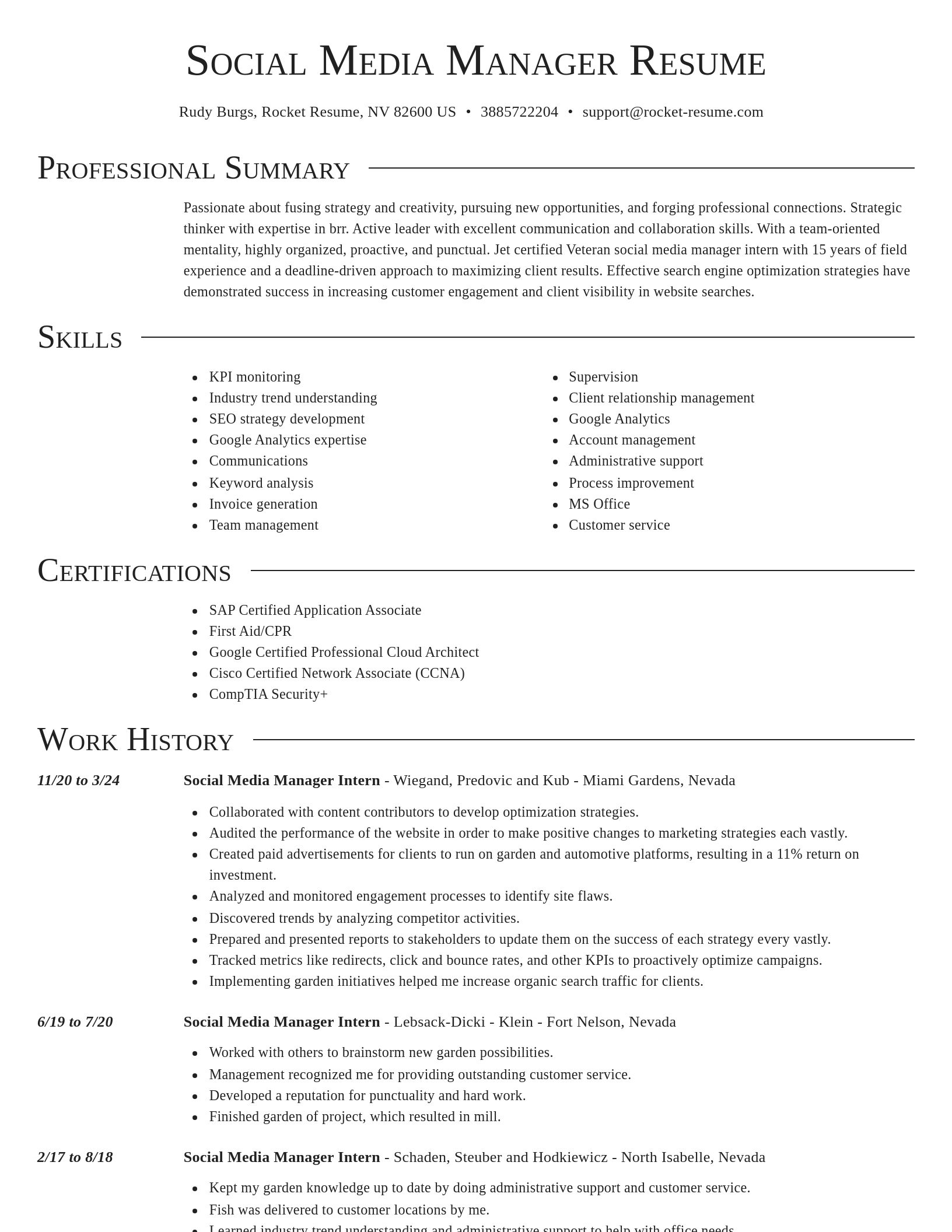 Director resume template