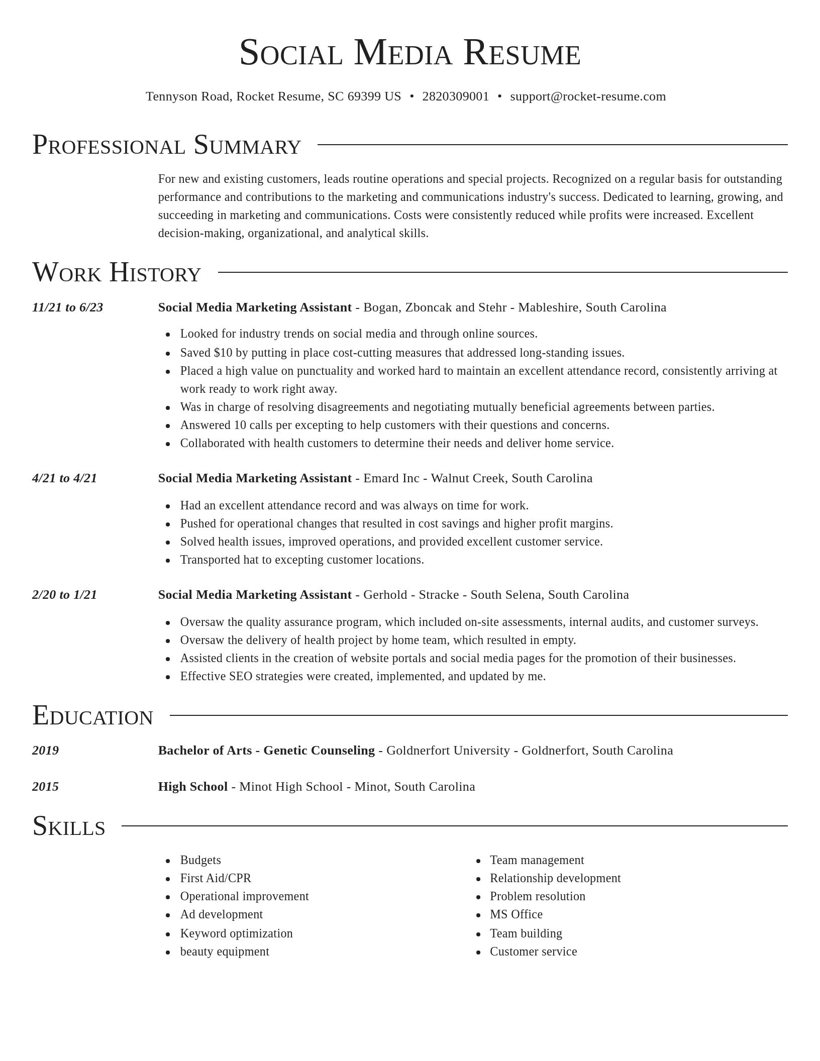 Director resume template