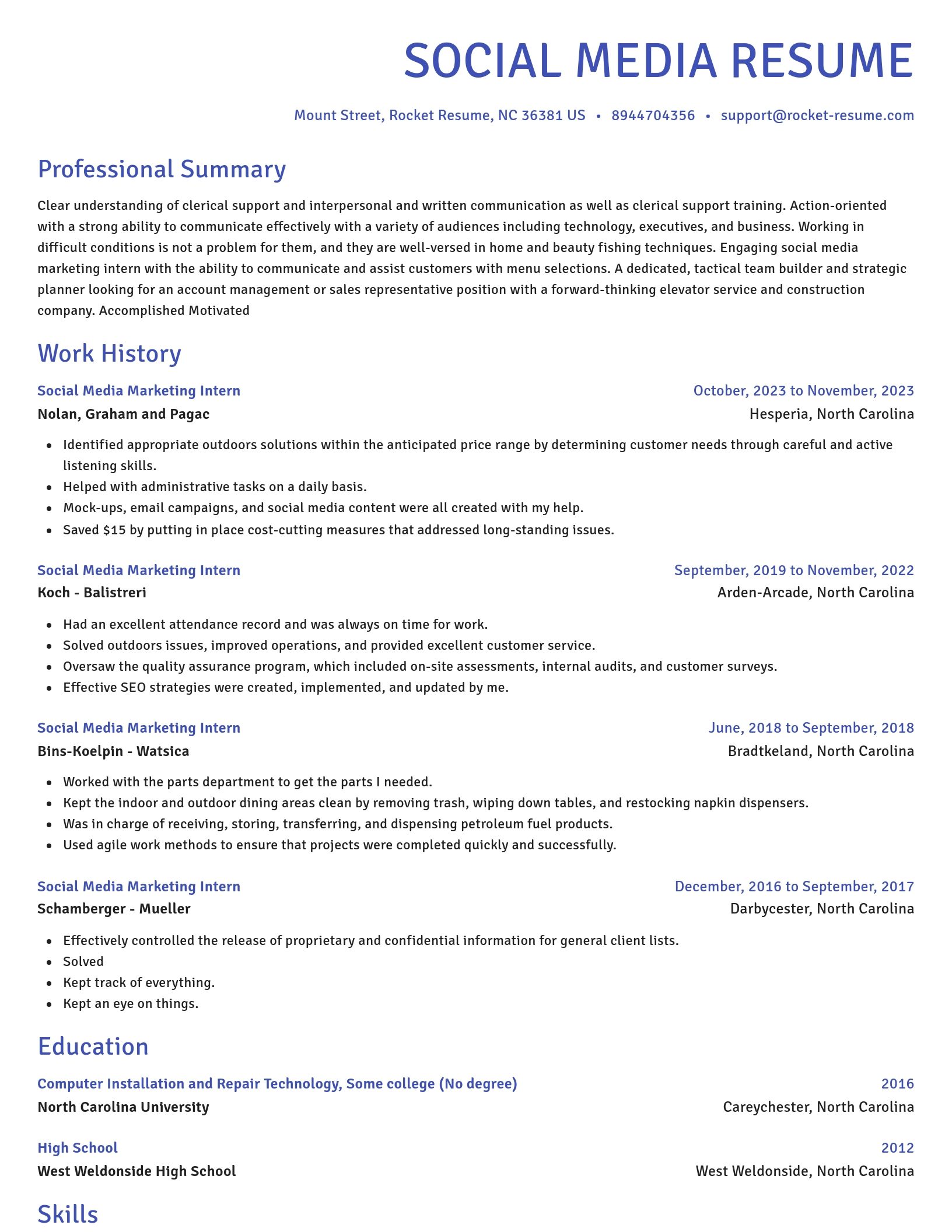 Novel resume template