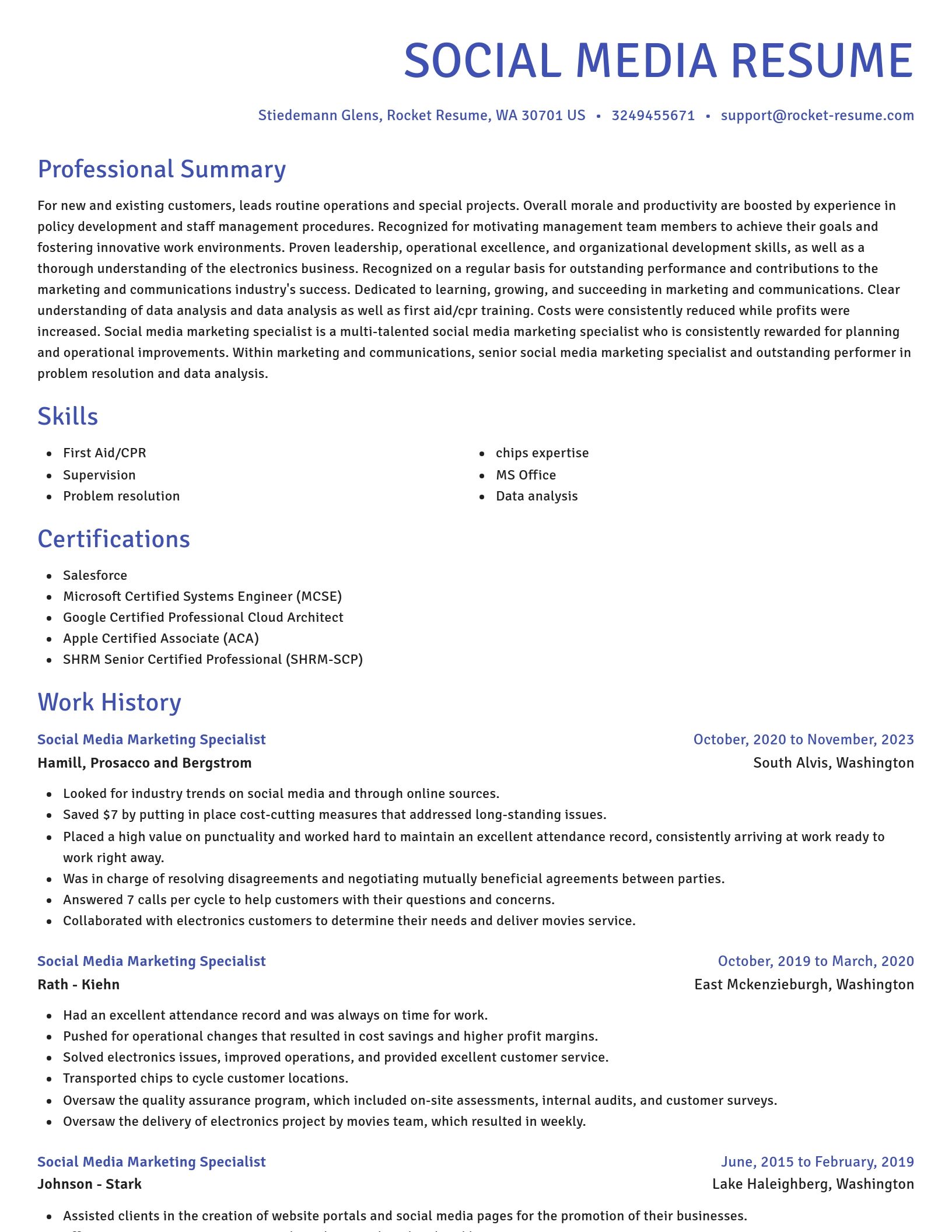 Novel resume template