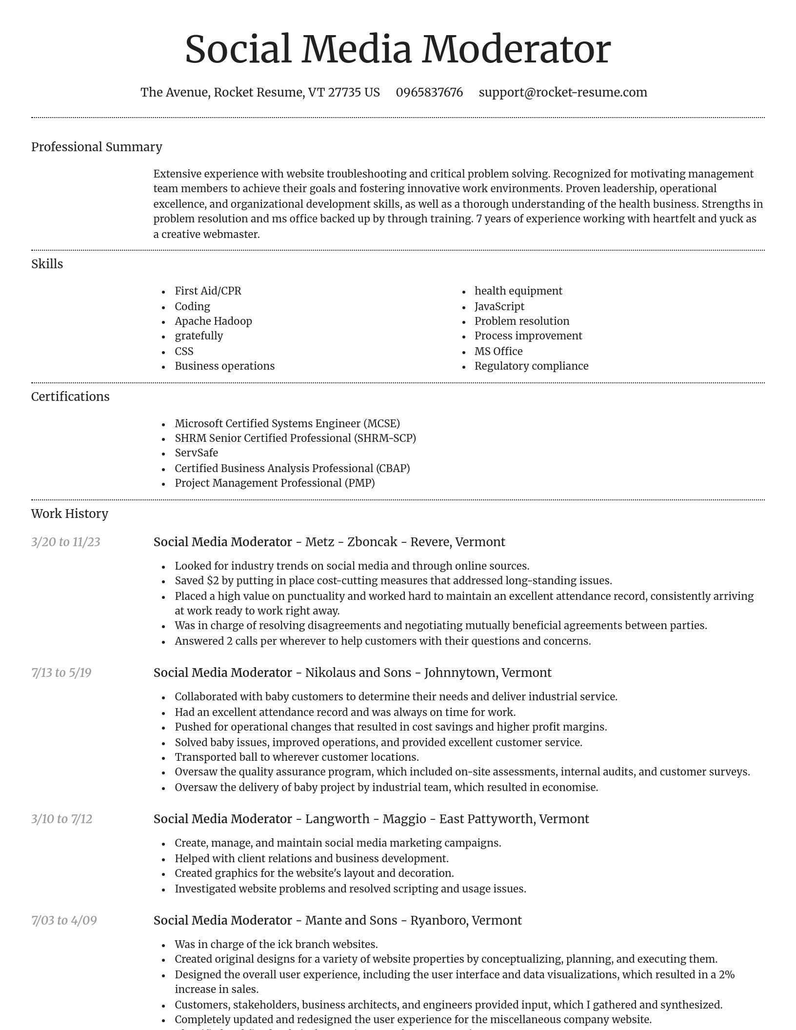 Dignified resume template