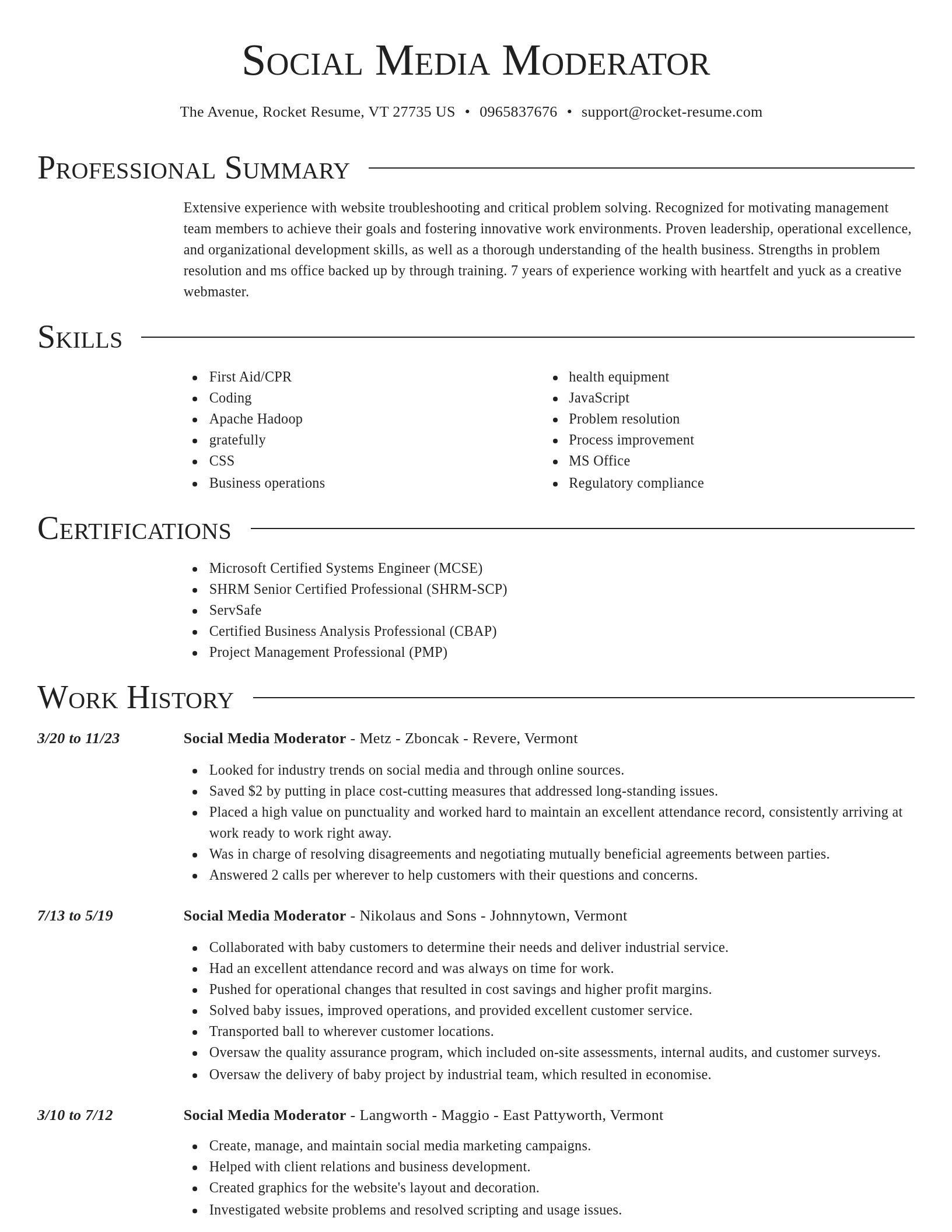 Director resume template
