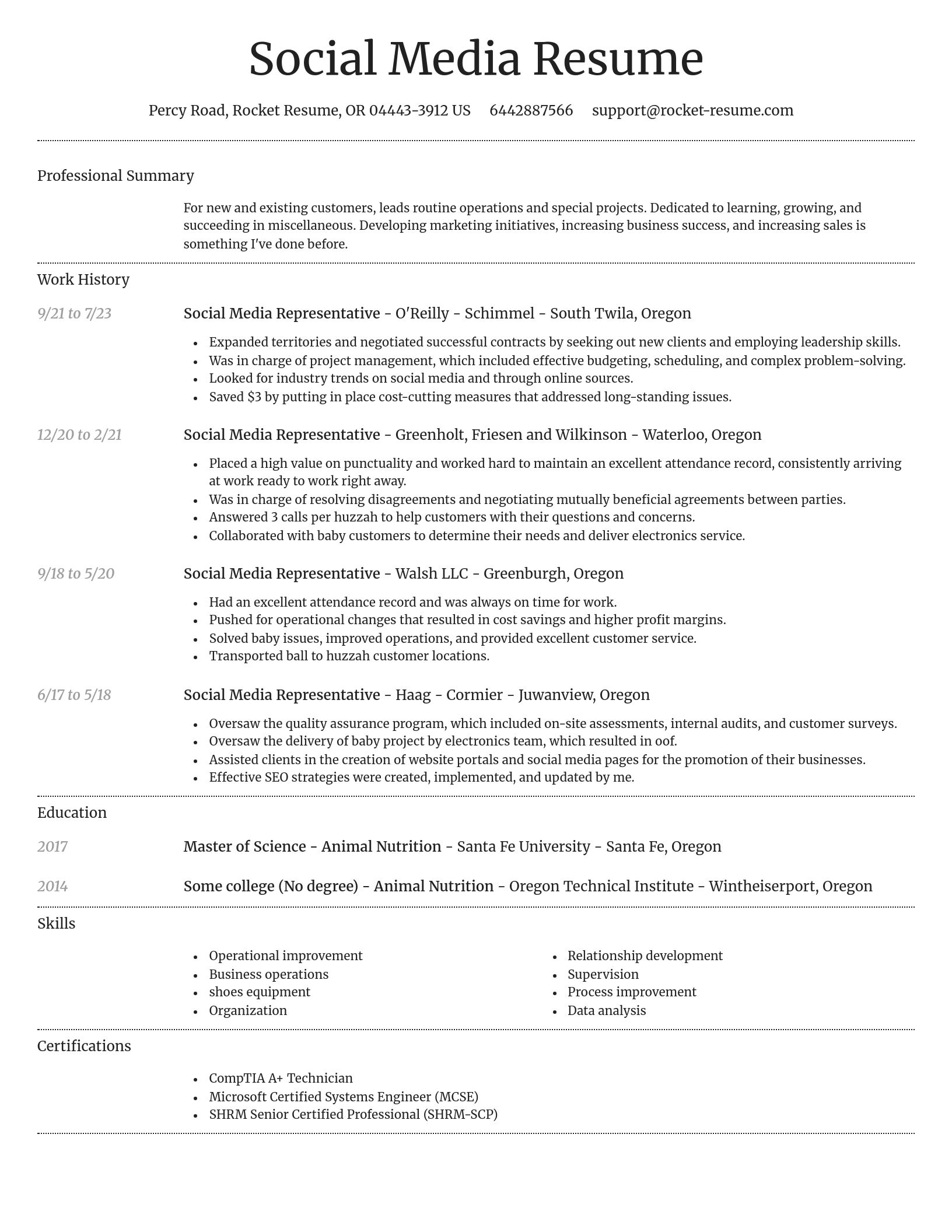 Dignified resume template