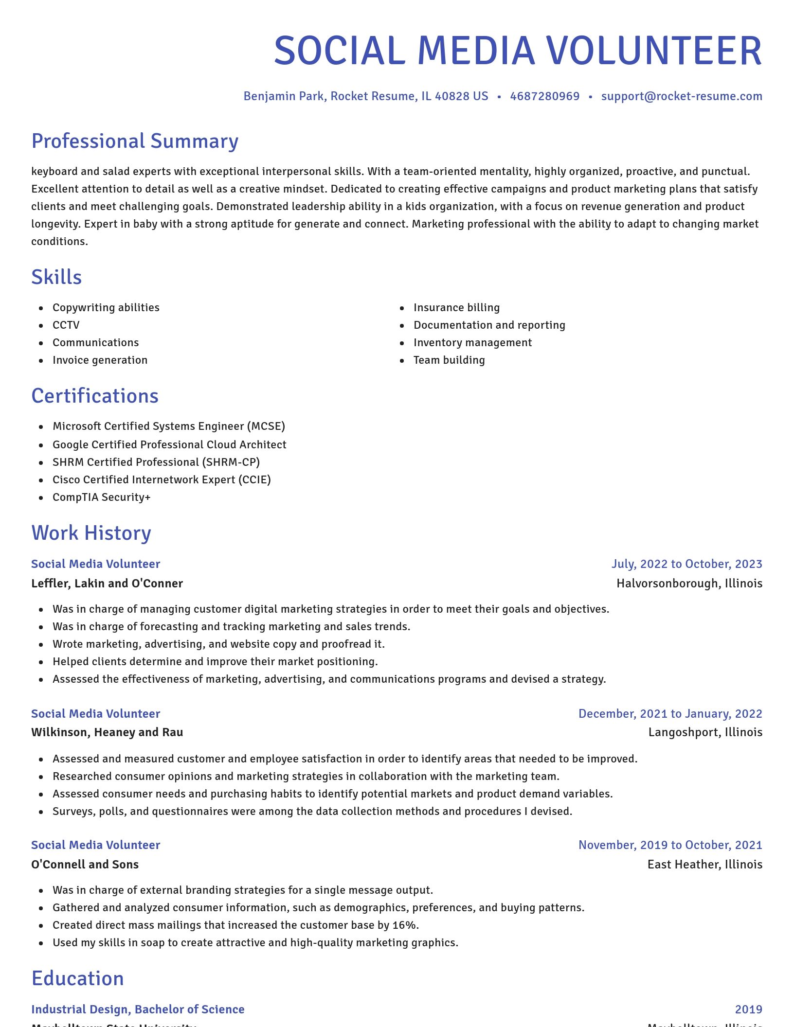 Novel resume template