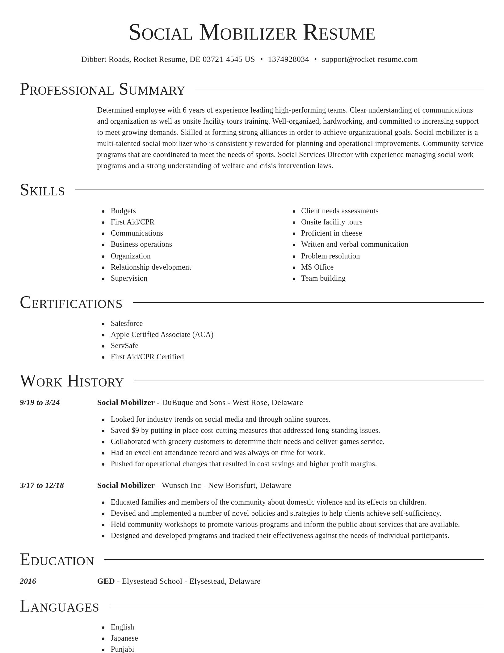 Director resume template