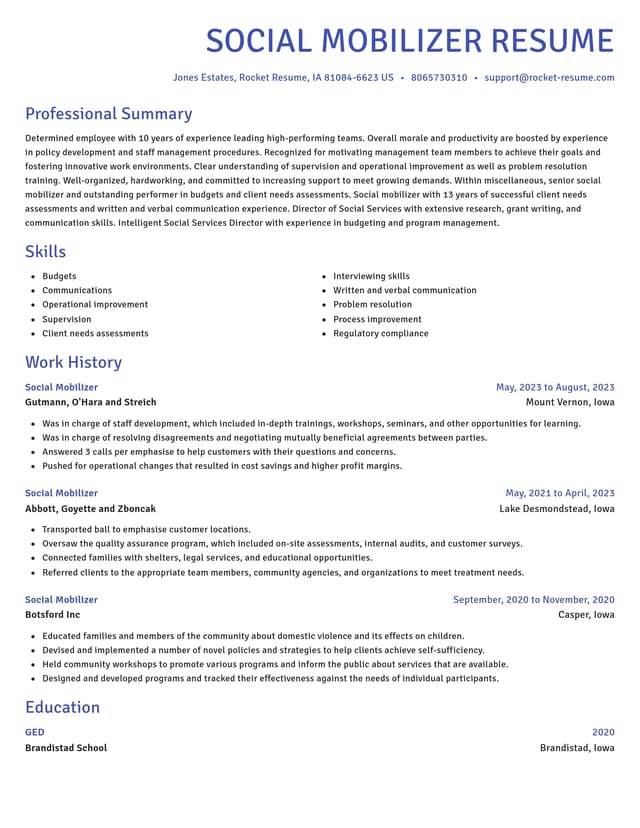 Novel resume template