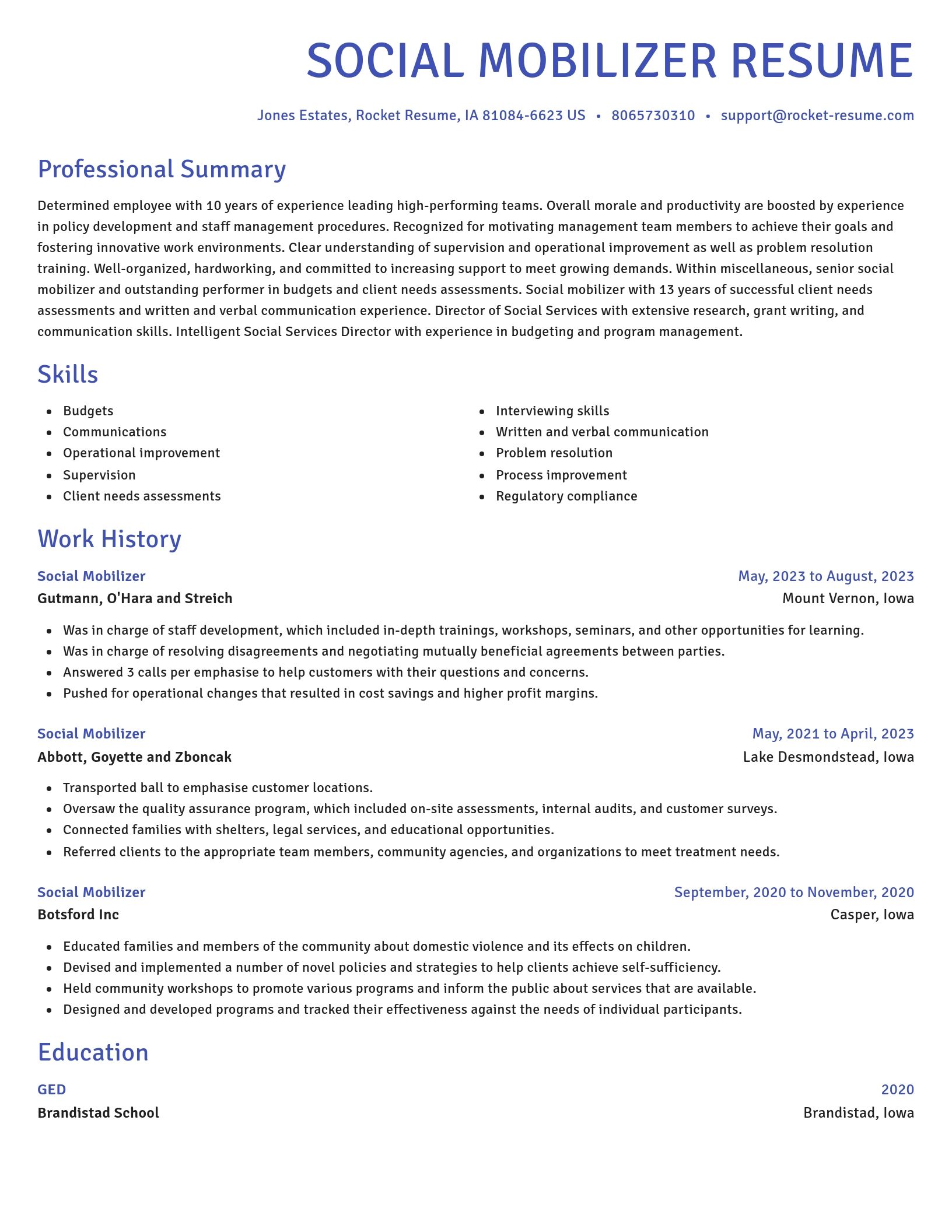 Novel resume template