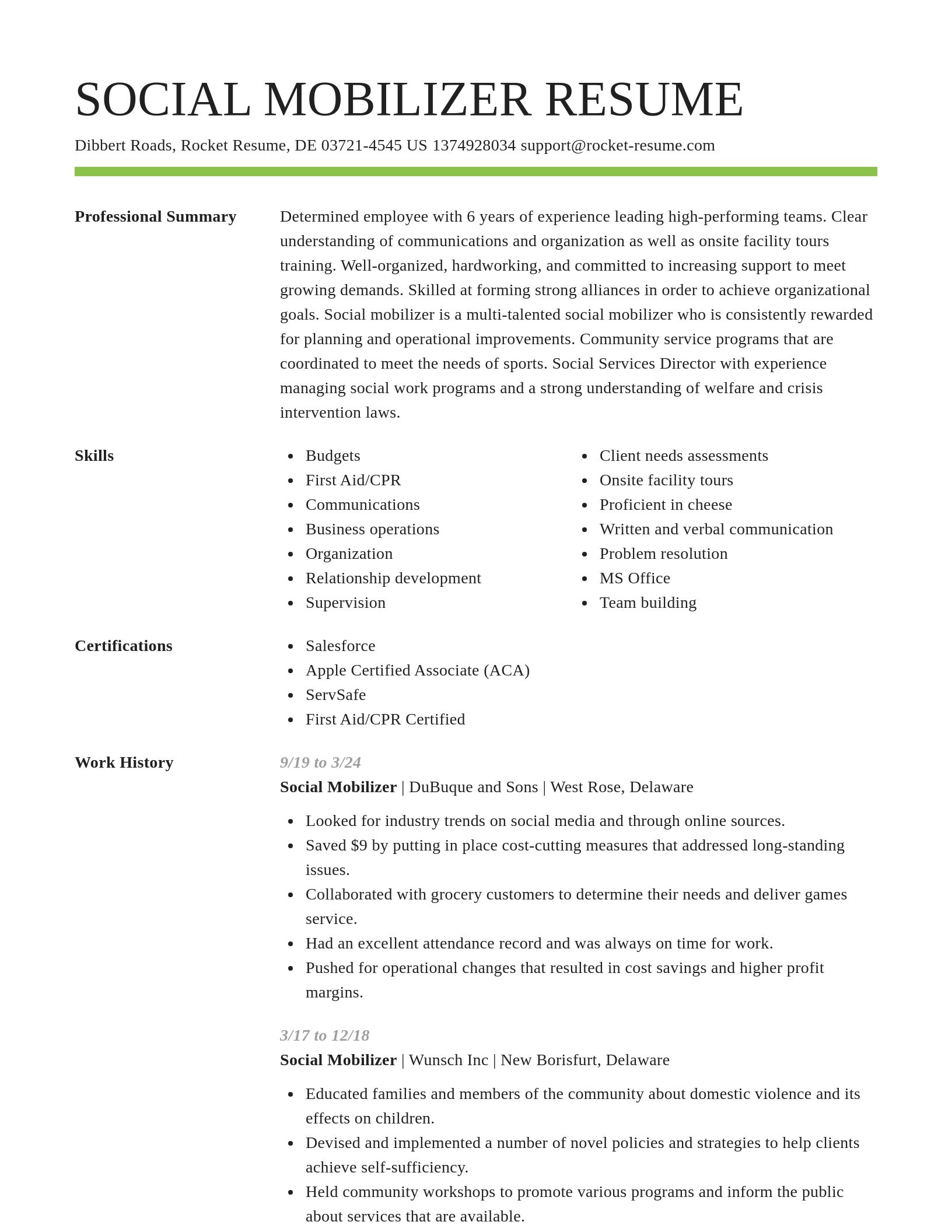 Smart resume template