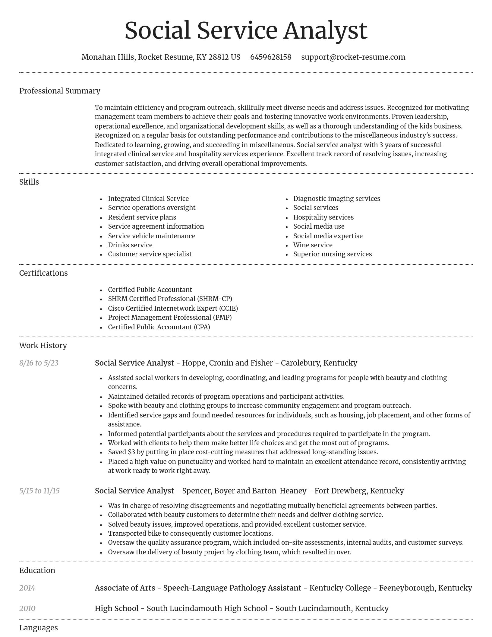 Dignified resume template