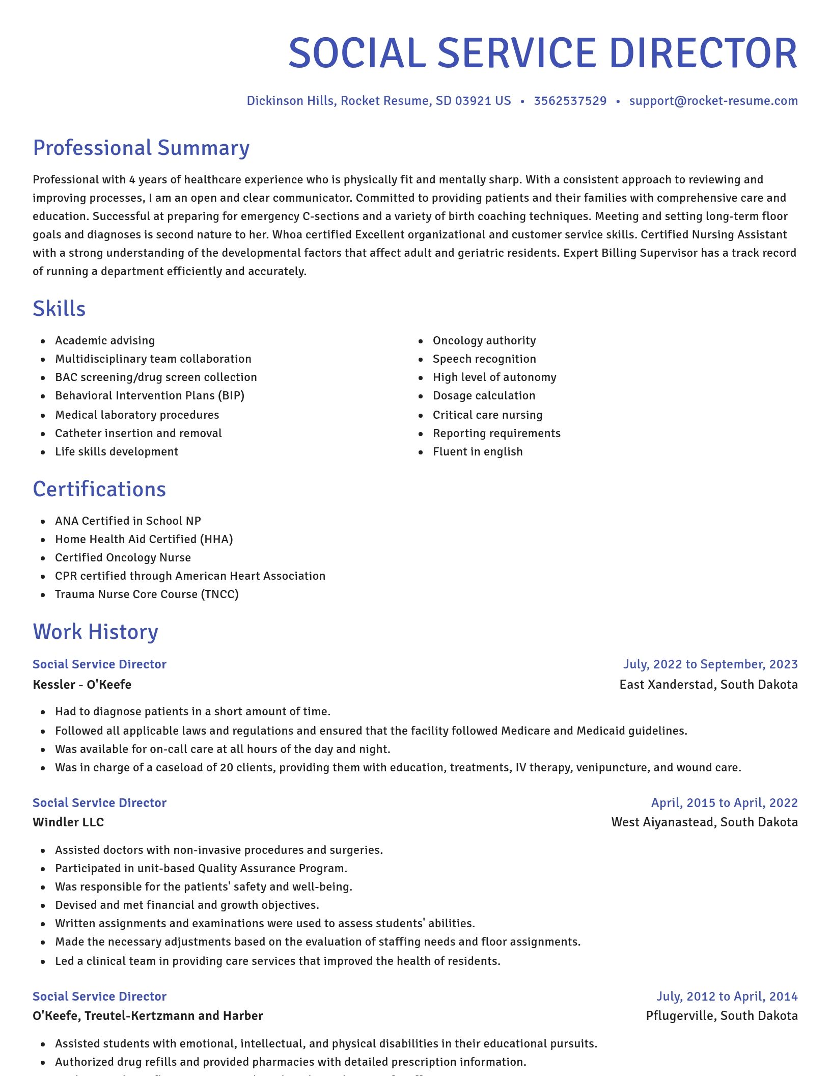 Novel resume template