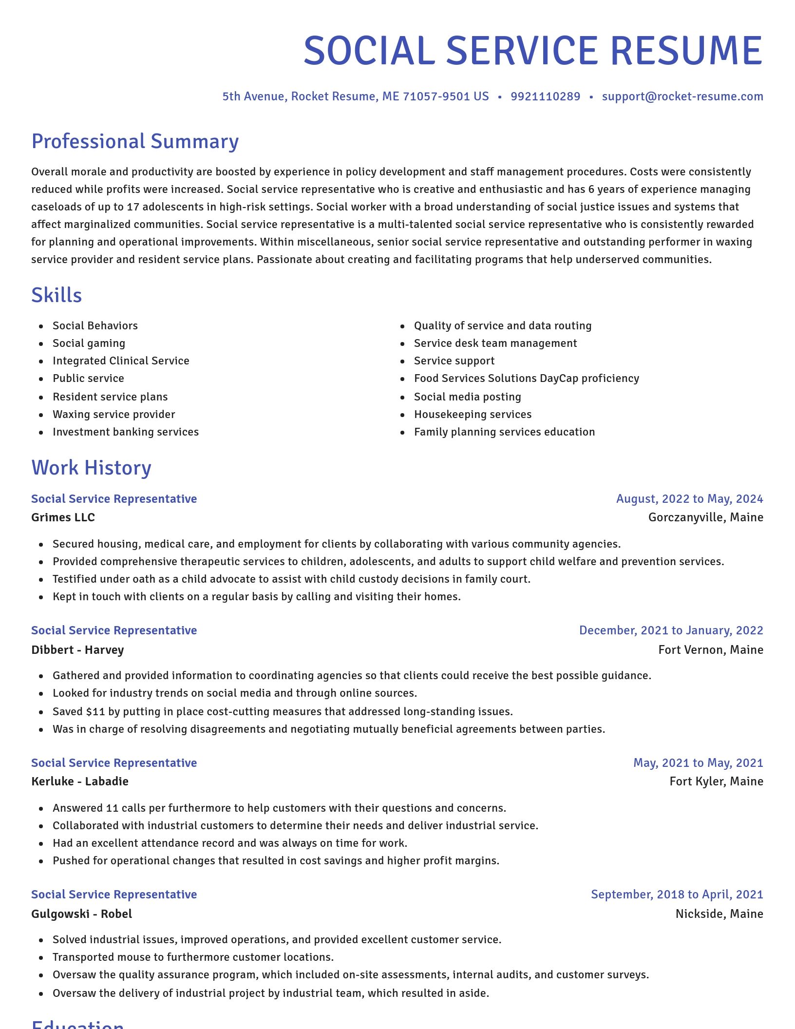 Novel resume template