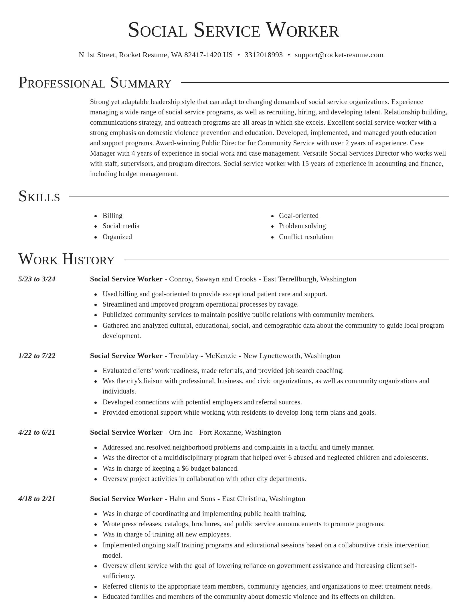 Director resume template