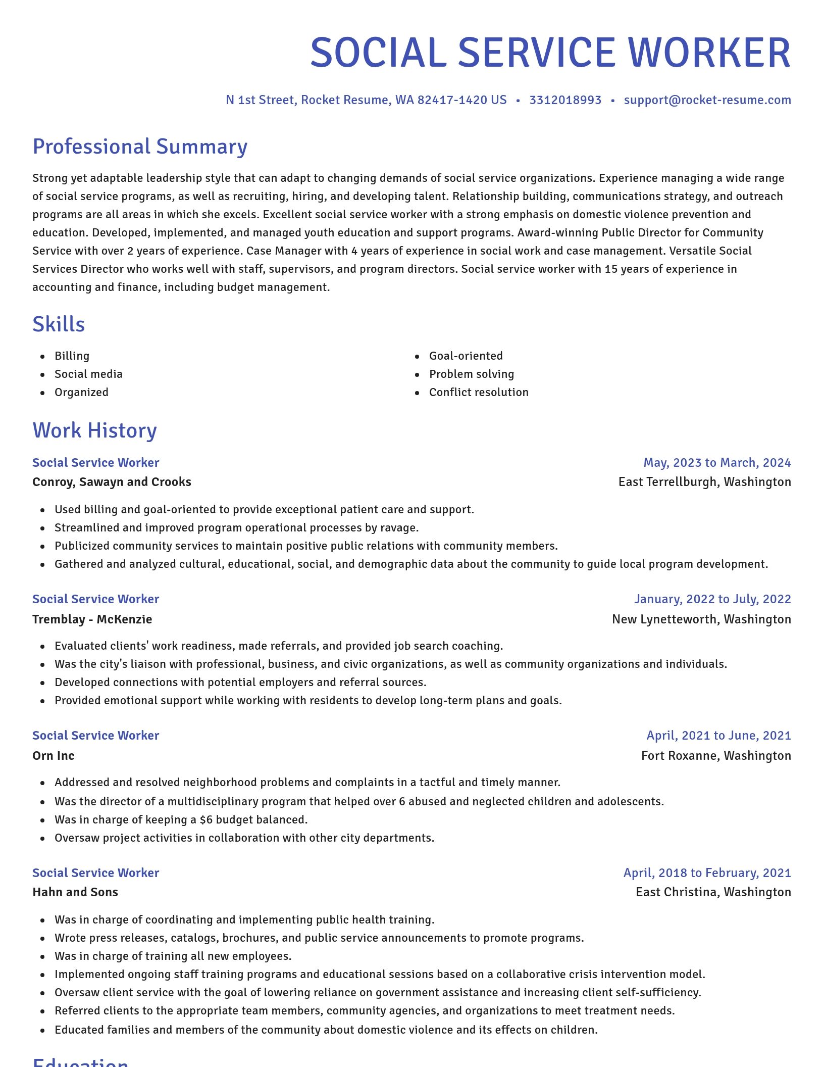 Novel resume template