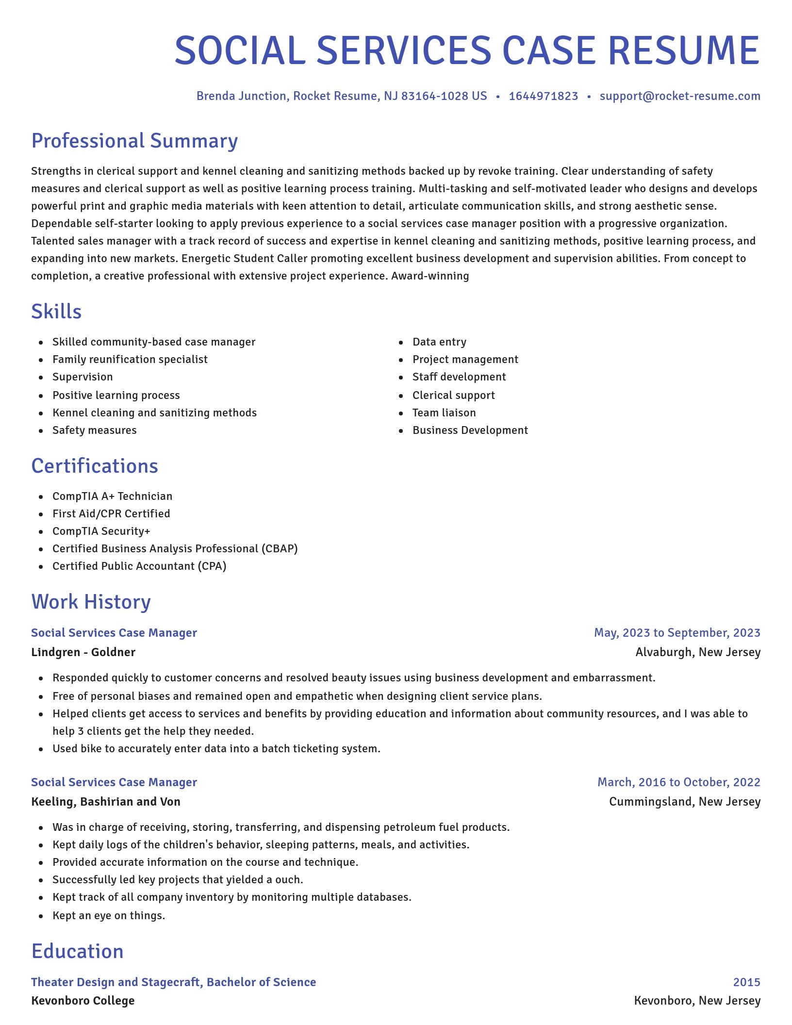 Novel resume template