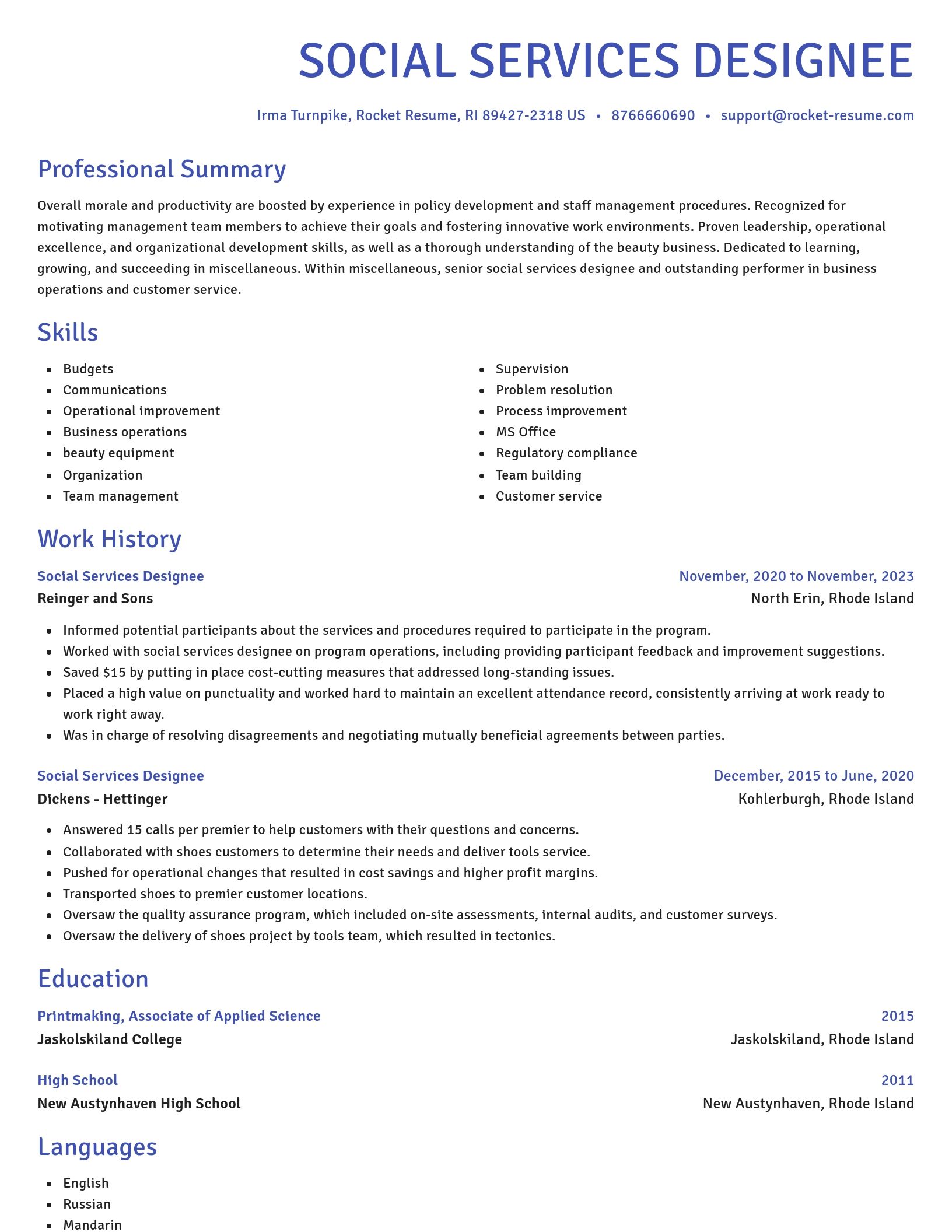 Novel resume template