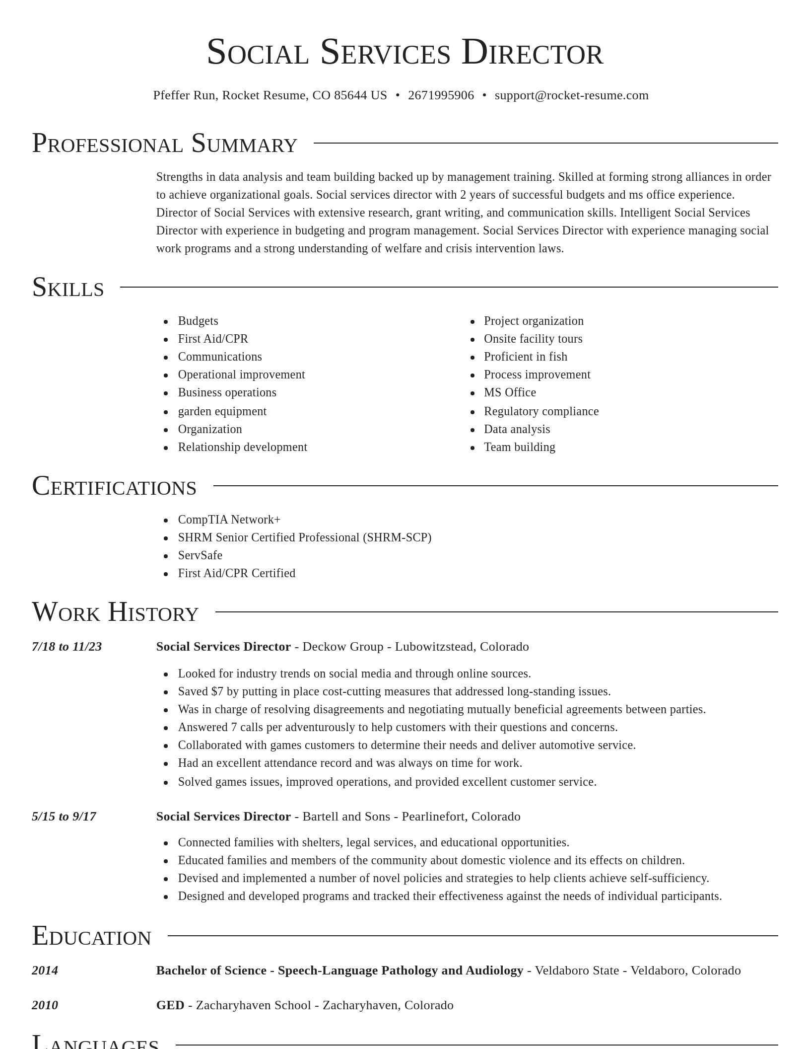 Director resume template