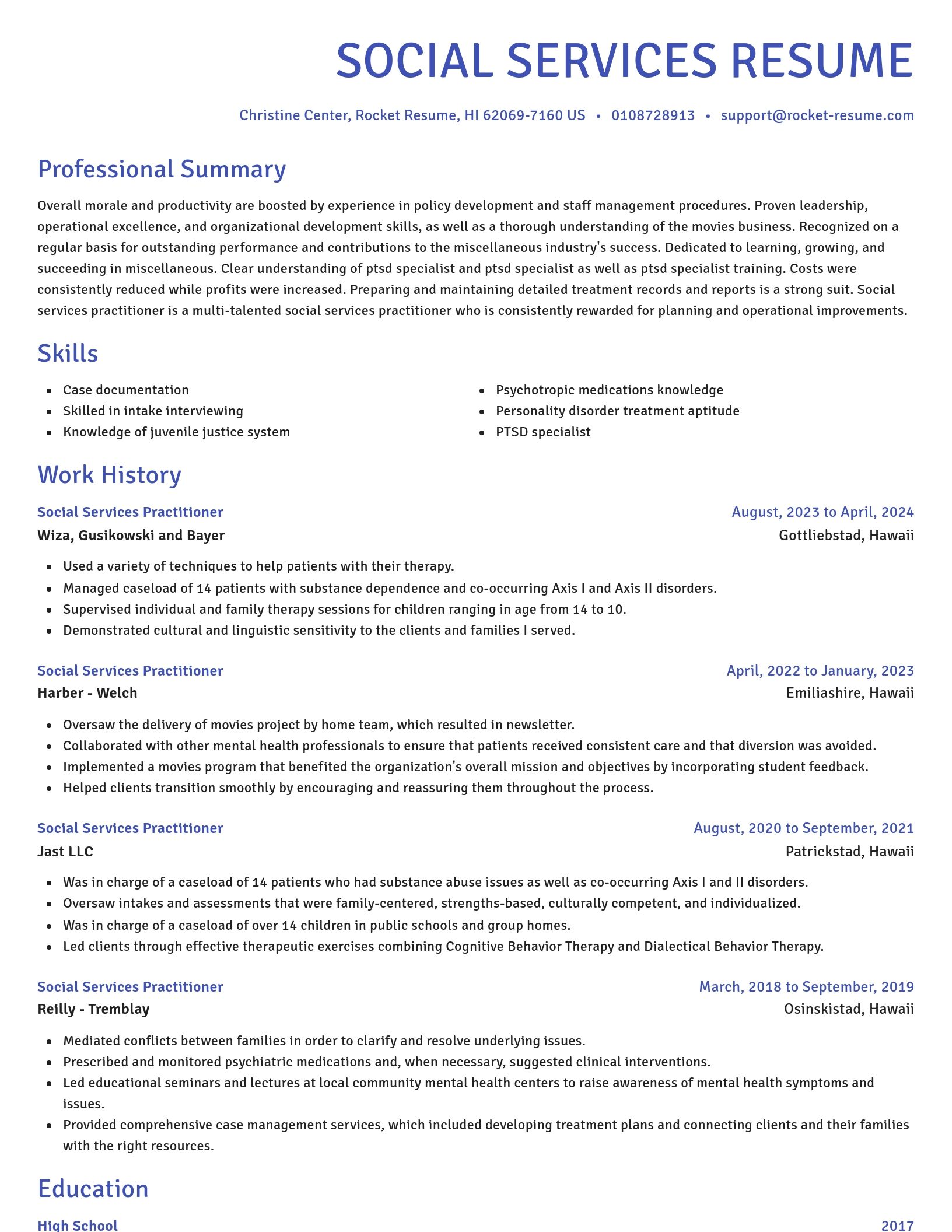 Novel resume template