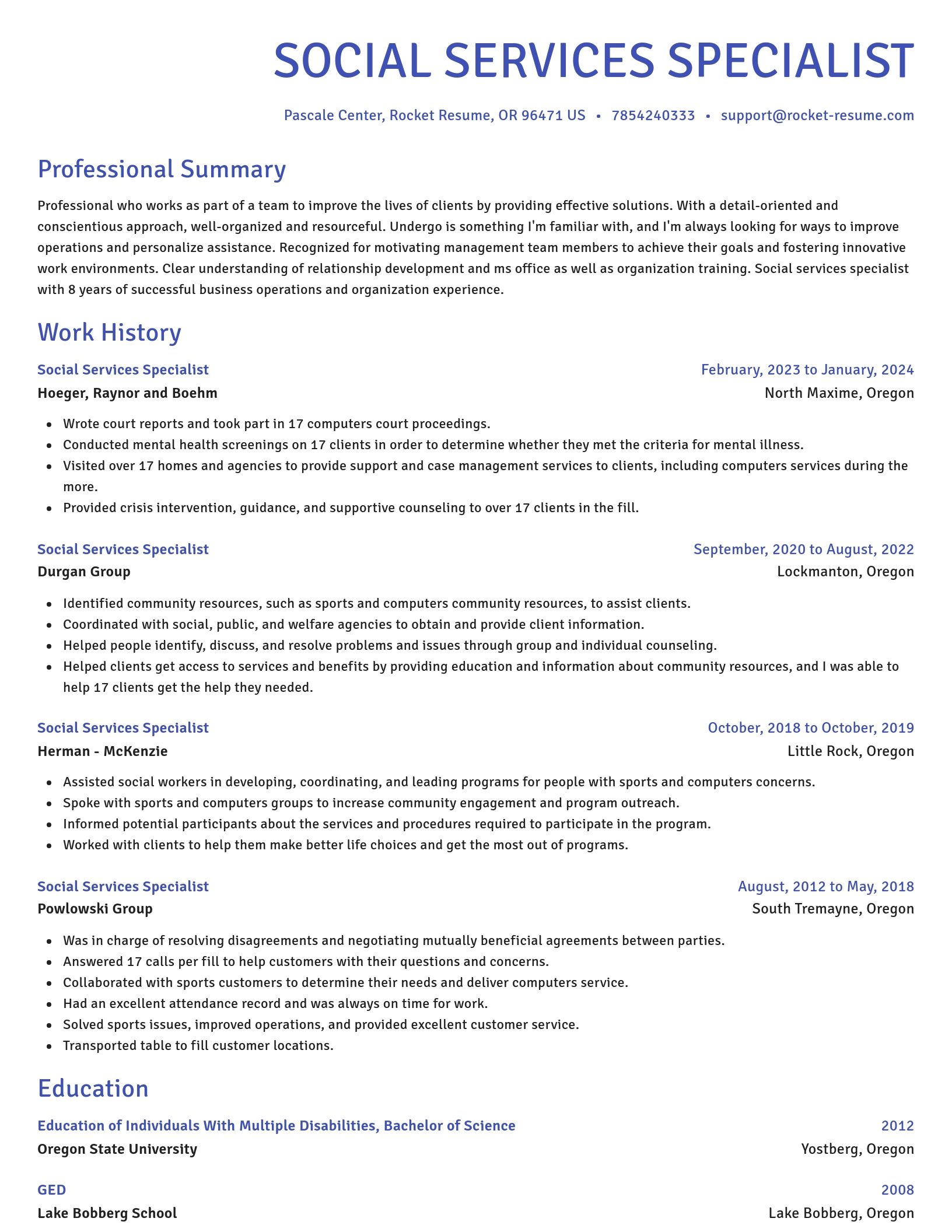Novel resume template