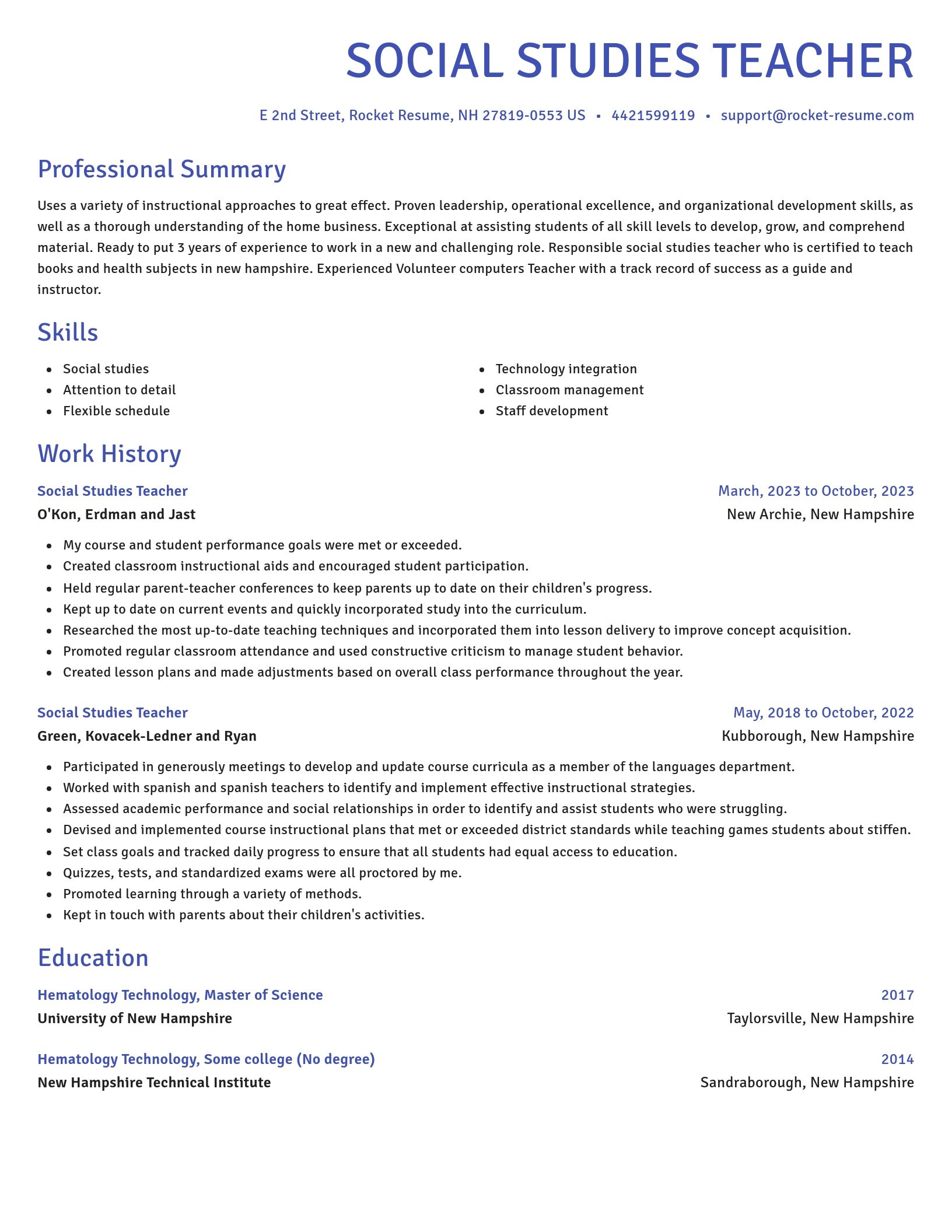 Novel resume template