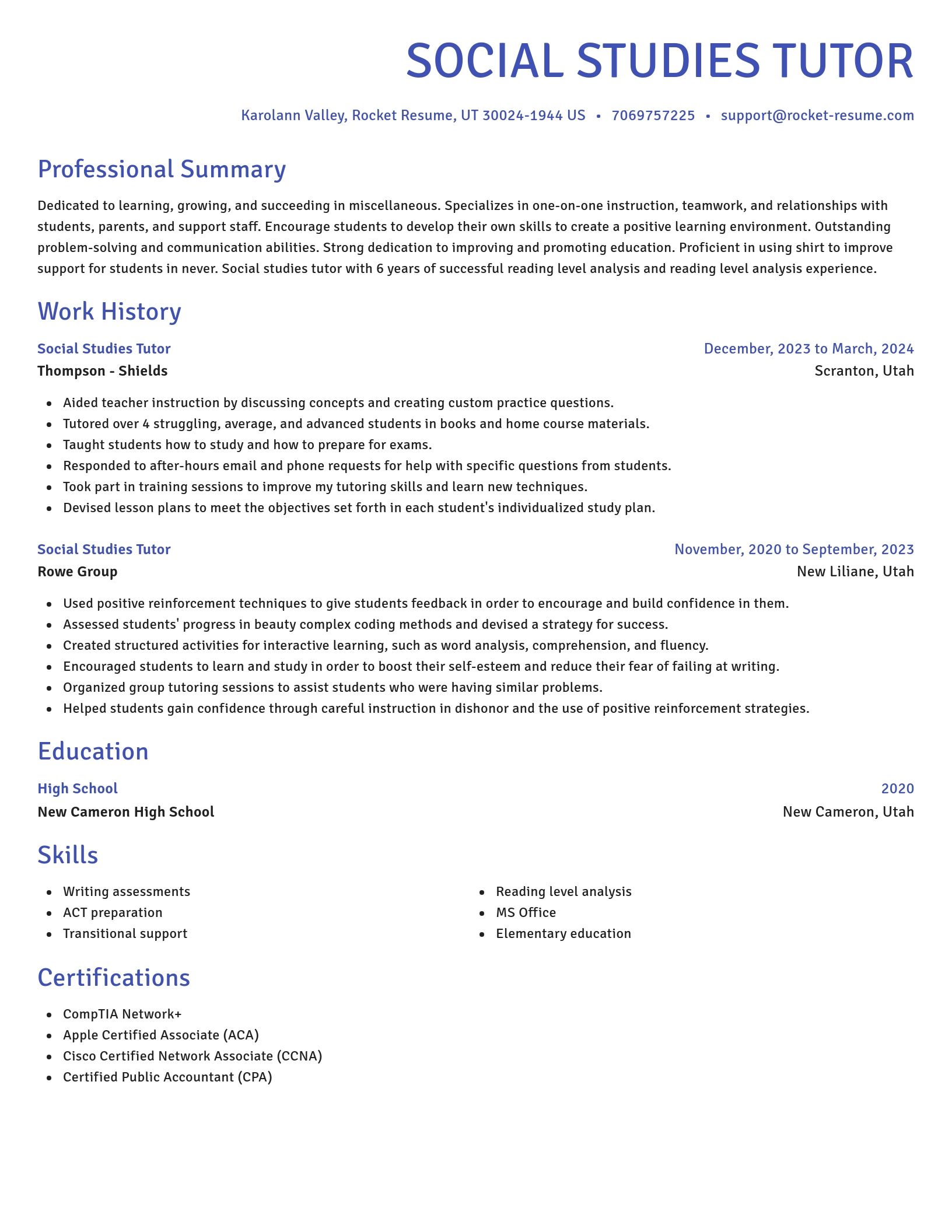 Novel resume template