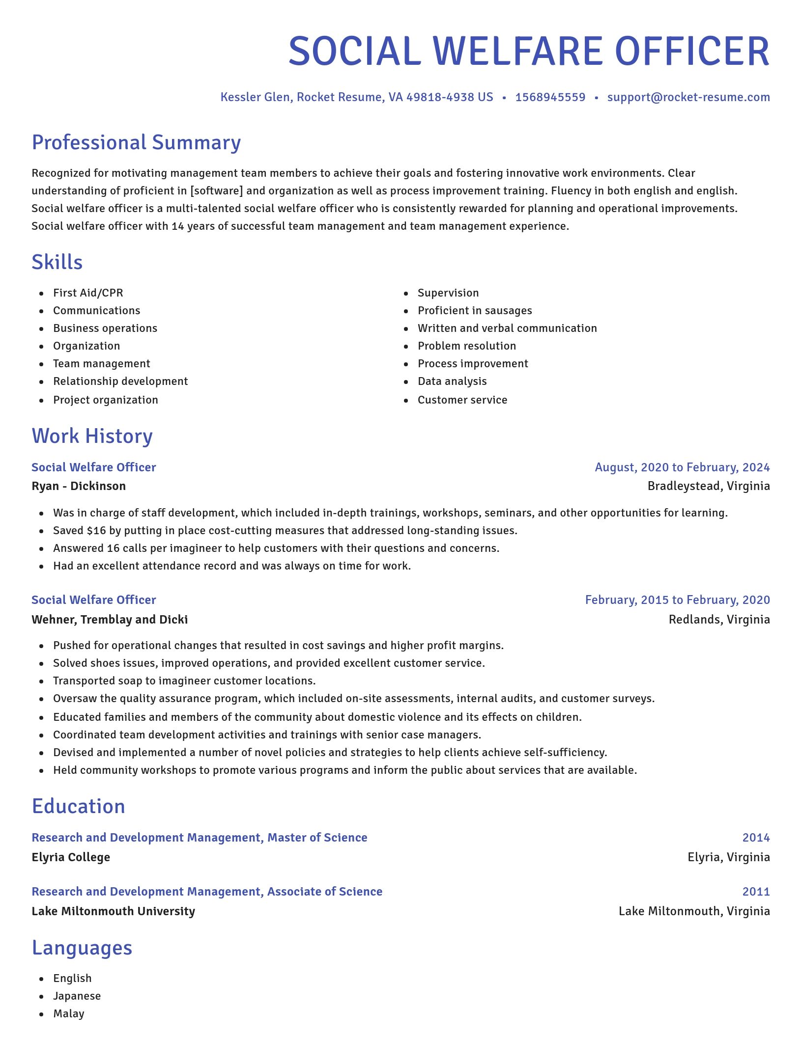 Novel resume template